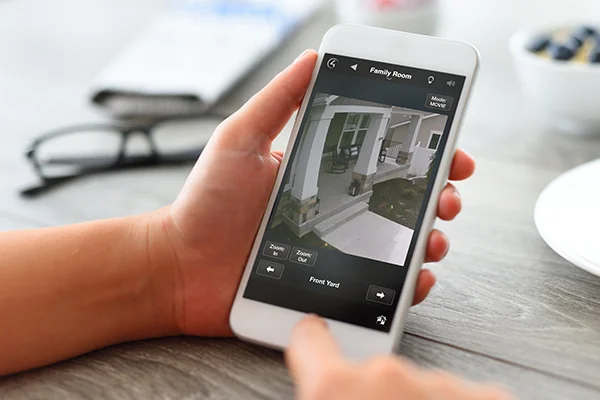 When you are away, receive a snapshot when there is activity at home.