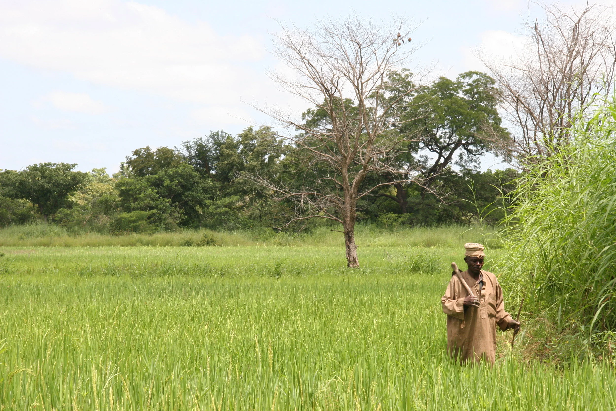 Benin 2009 308.jpg