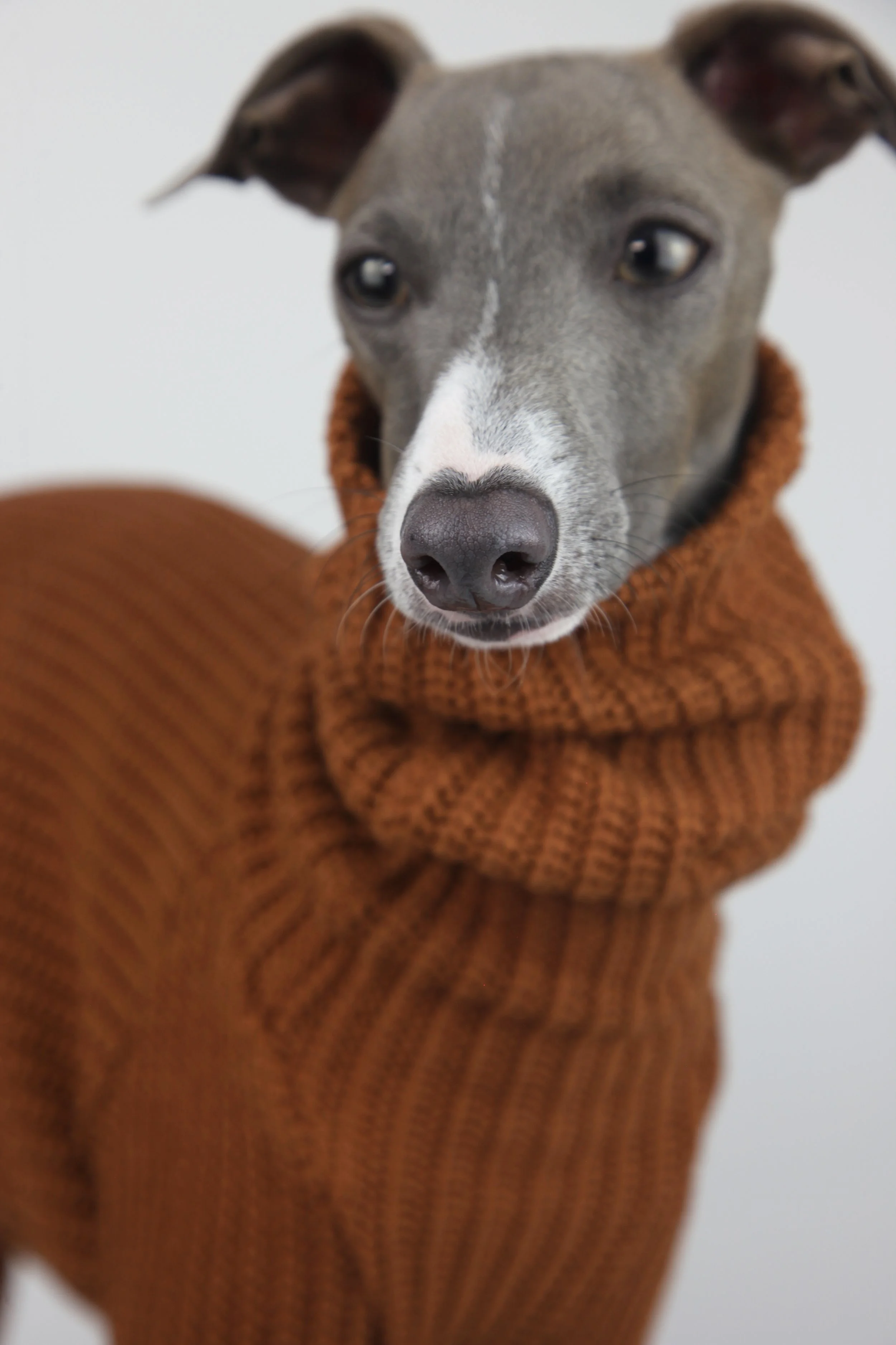 Italian Greyhound clothing romper onesie iggy clothes sighthound