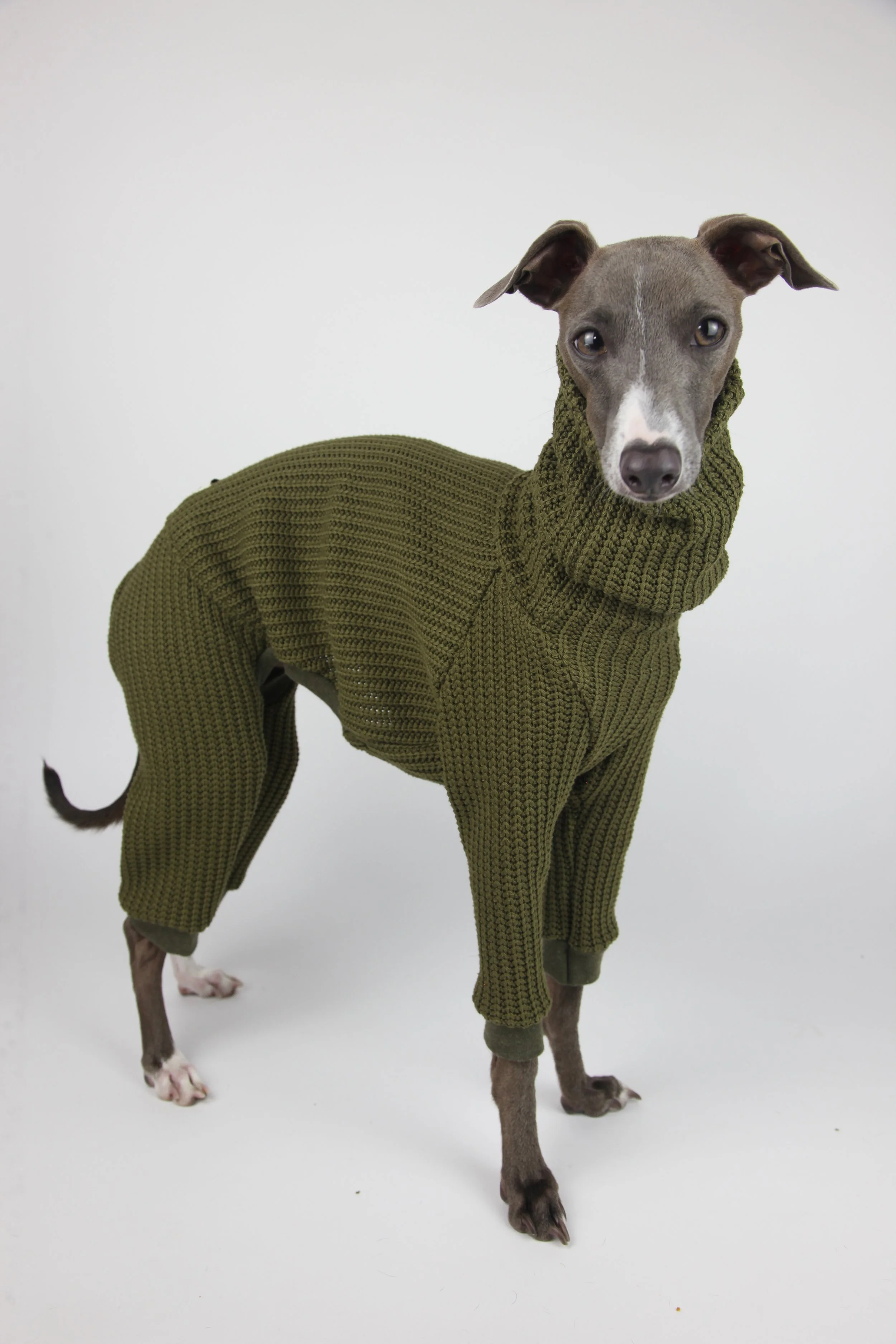 Italian Greyhound clothing romper onesie iggy clothes sighthound