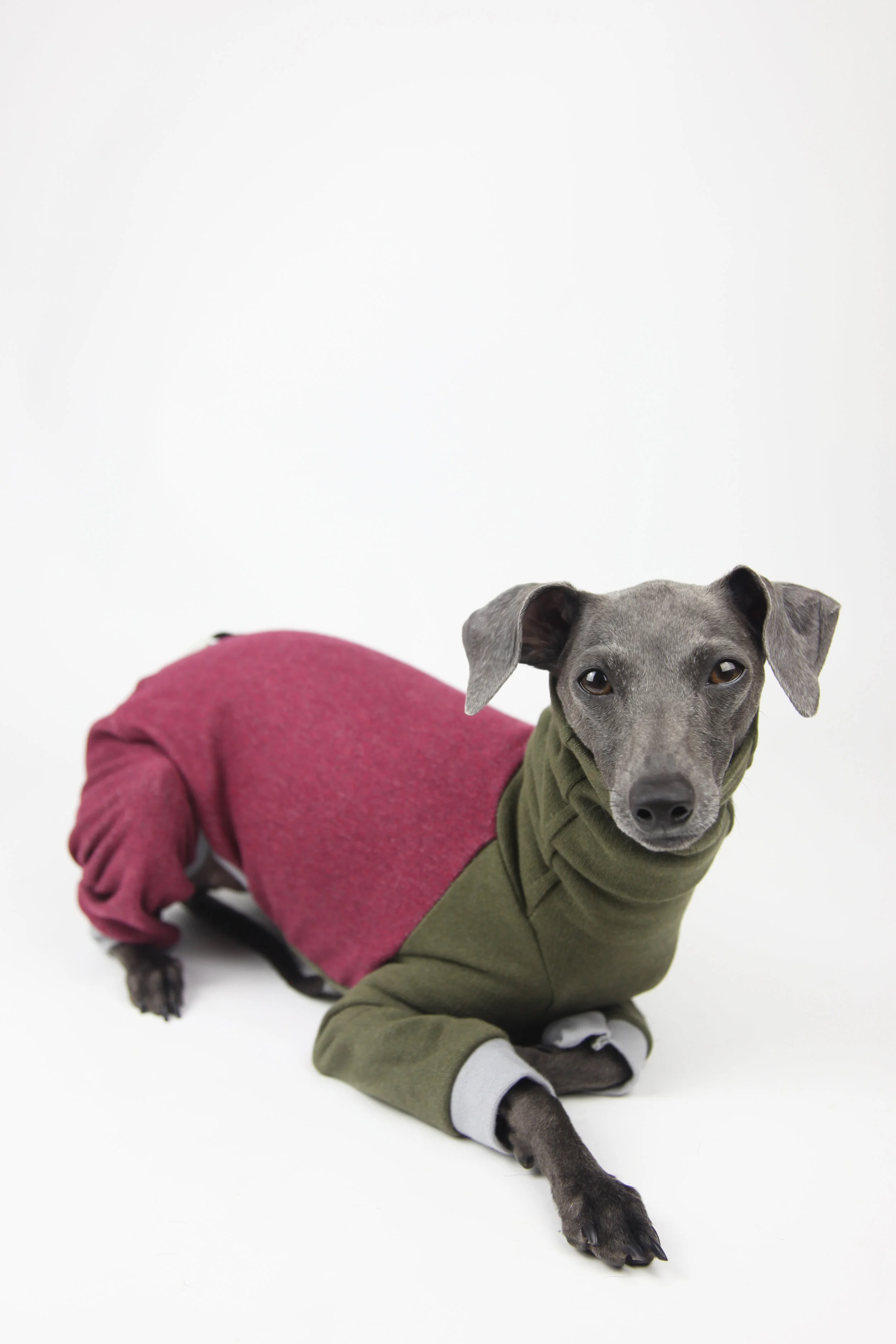 Greenwich Italian Greyhound Romper by Jute and Sable