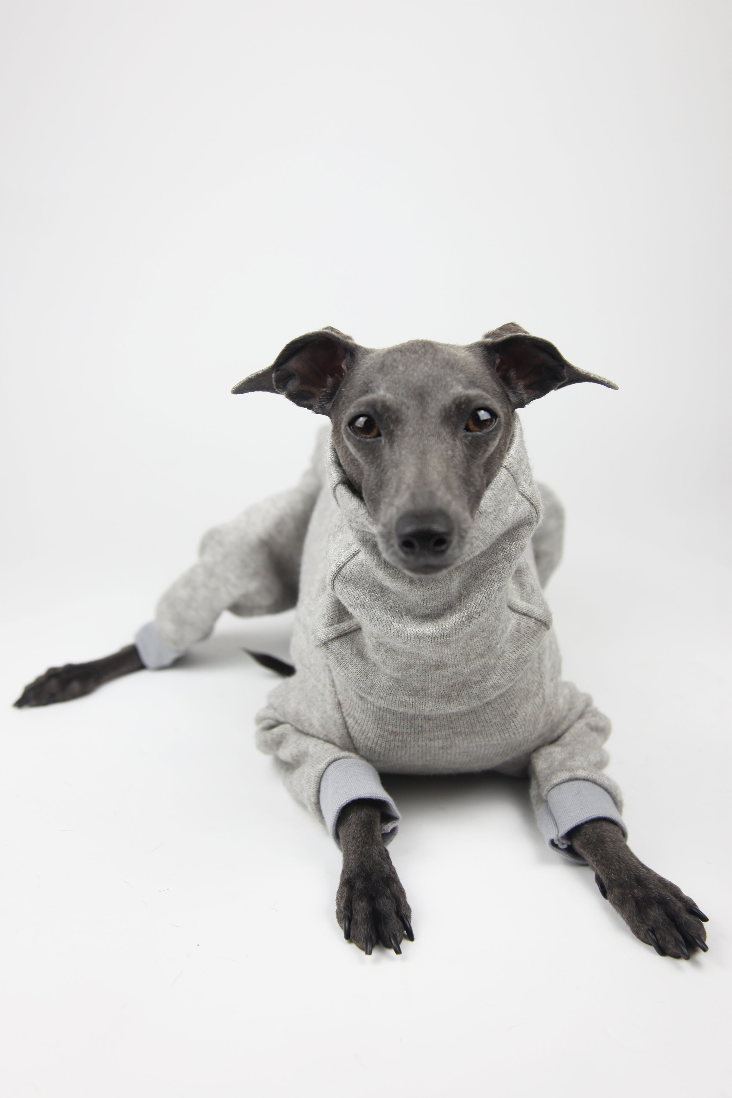 Richmond Italian Greyhound Romper by Jute and Sable