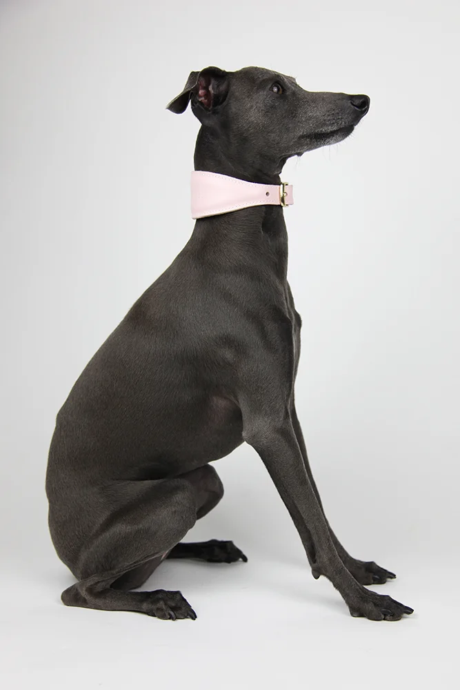 Pink Collar Luxury Italian Nappa Leather Dog Collar – Jute