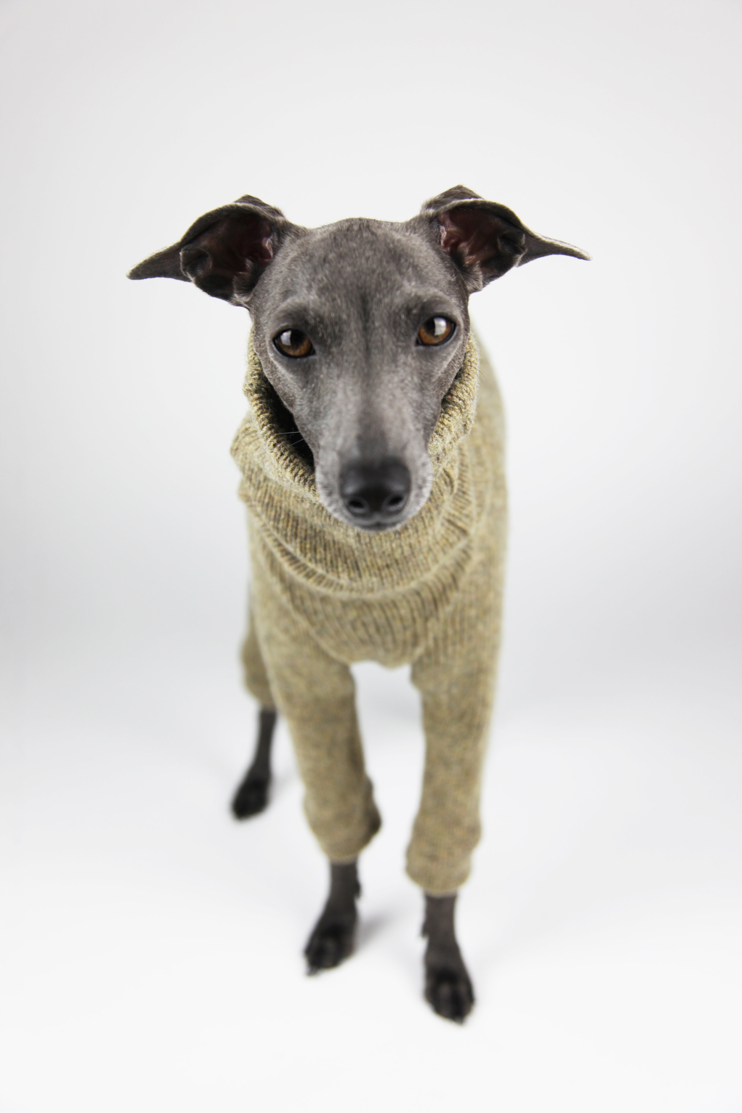 Kensington Italian Greyhound Romper by Jute and Sable
