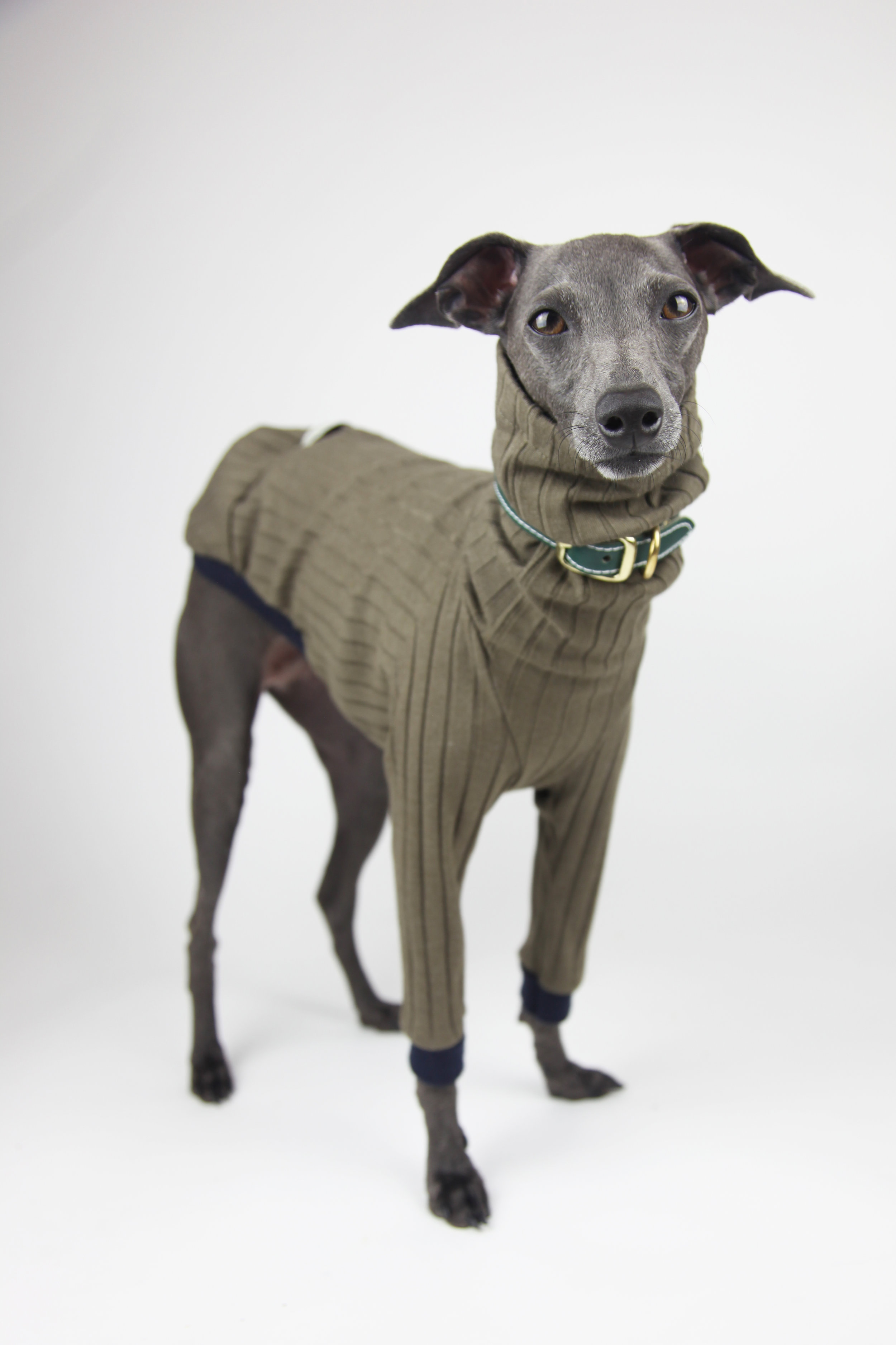 Green Park Italian Greyhound Pullover by Jute and Sable