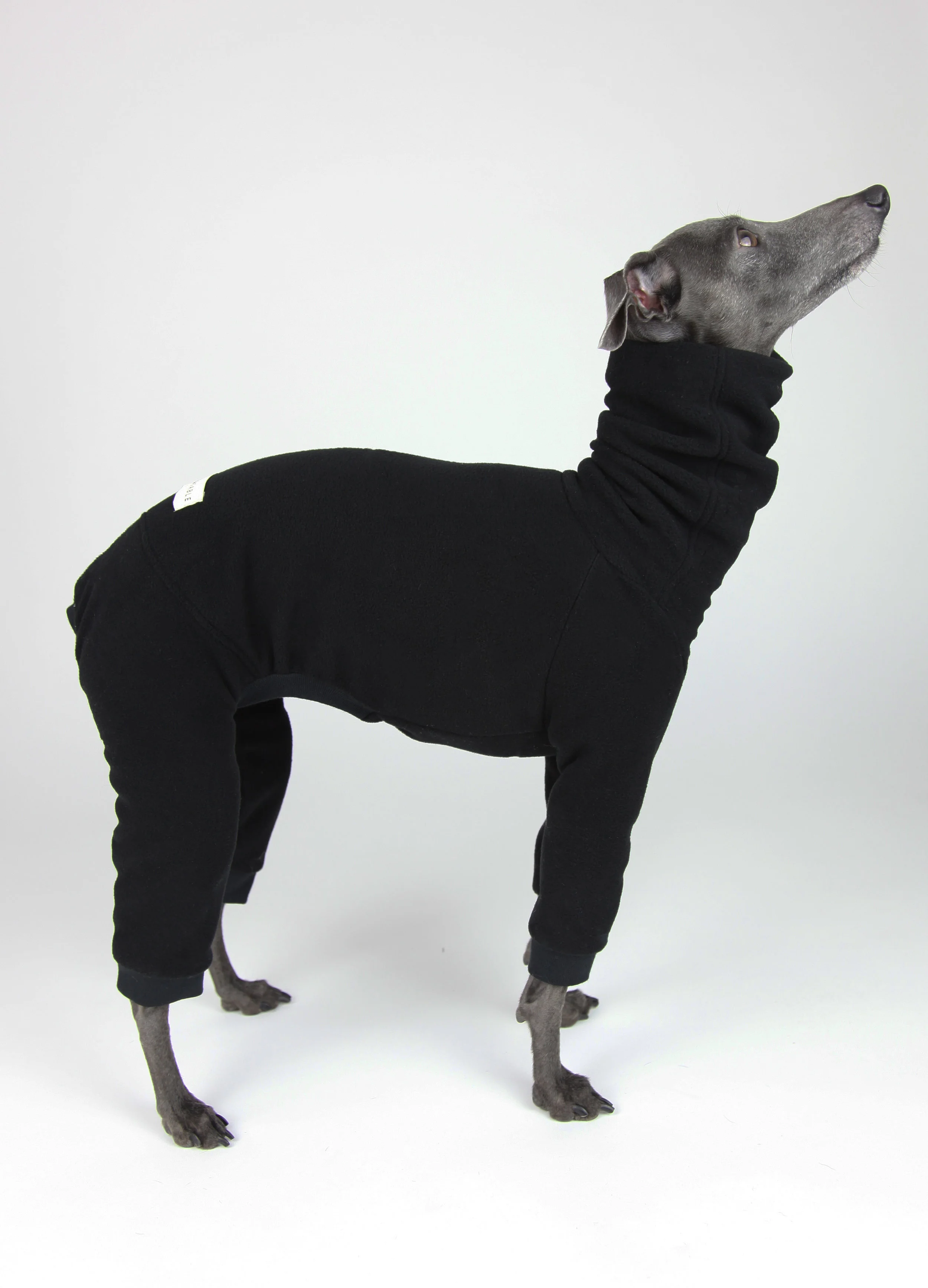 Italian Greyhound Clothes // Italian Greyhound Romper // Italian Greyhound Clothing // Fleece Onesie // Italian Greyhound Jumper // Black