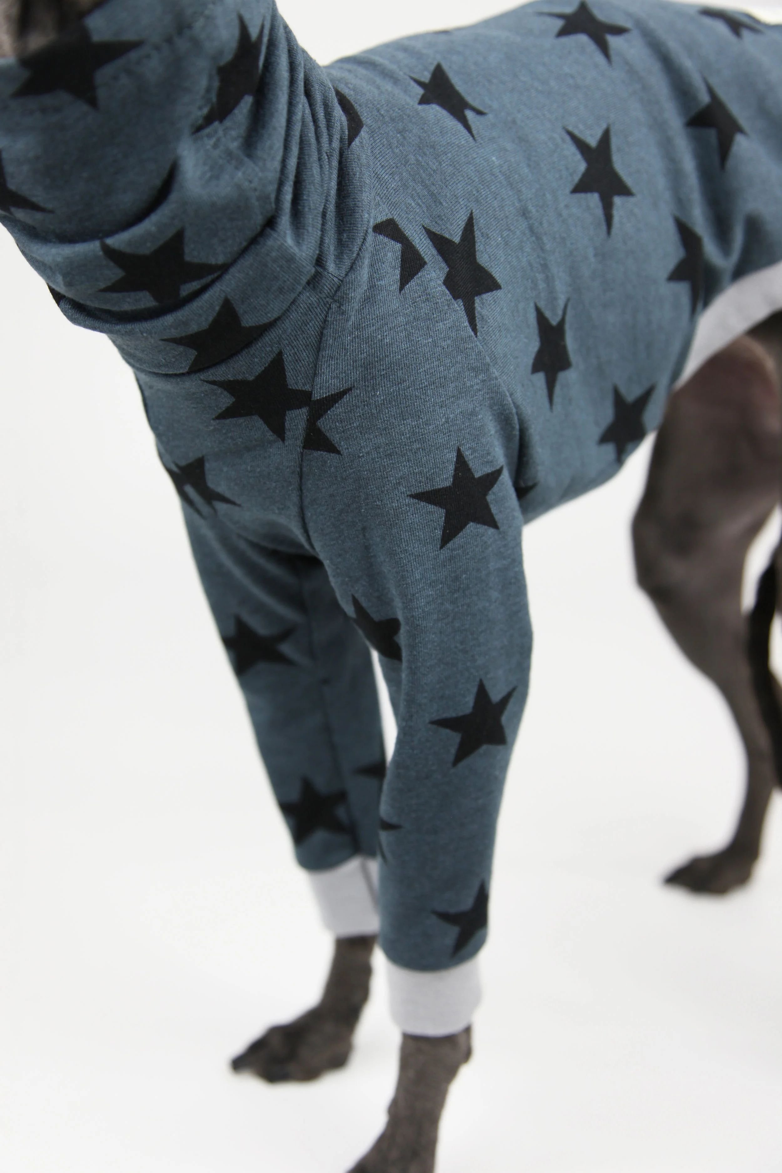 Italian Greyhound Clothing