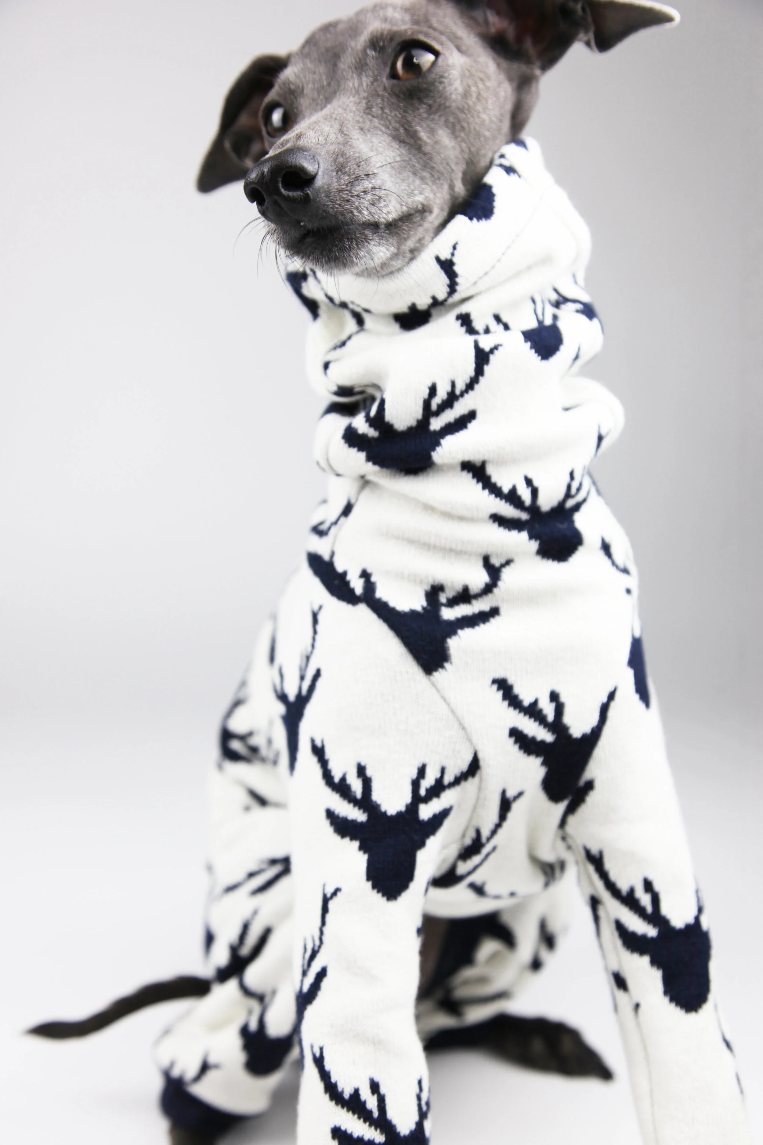 Italian Greyhound, Whippet Christmas Festive Jumper