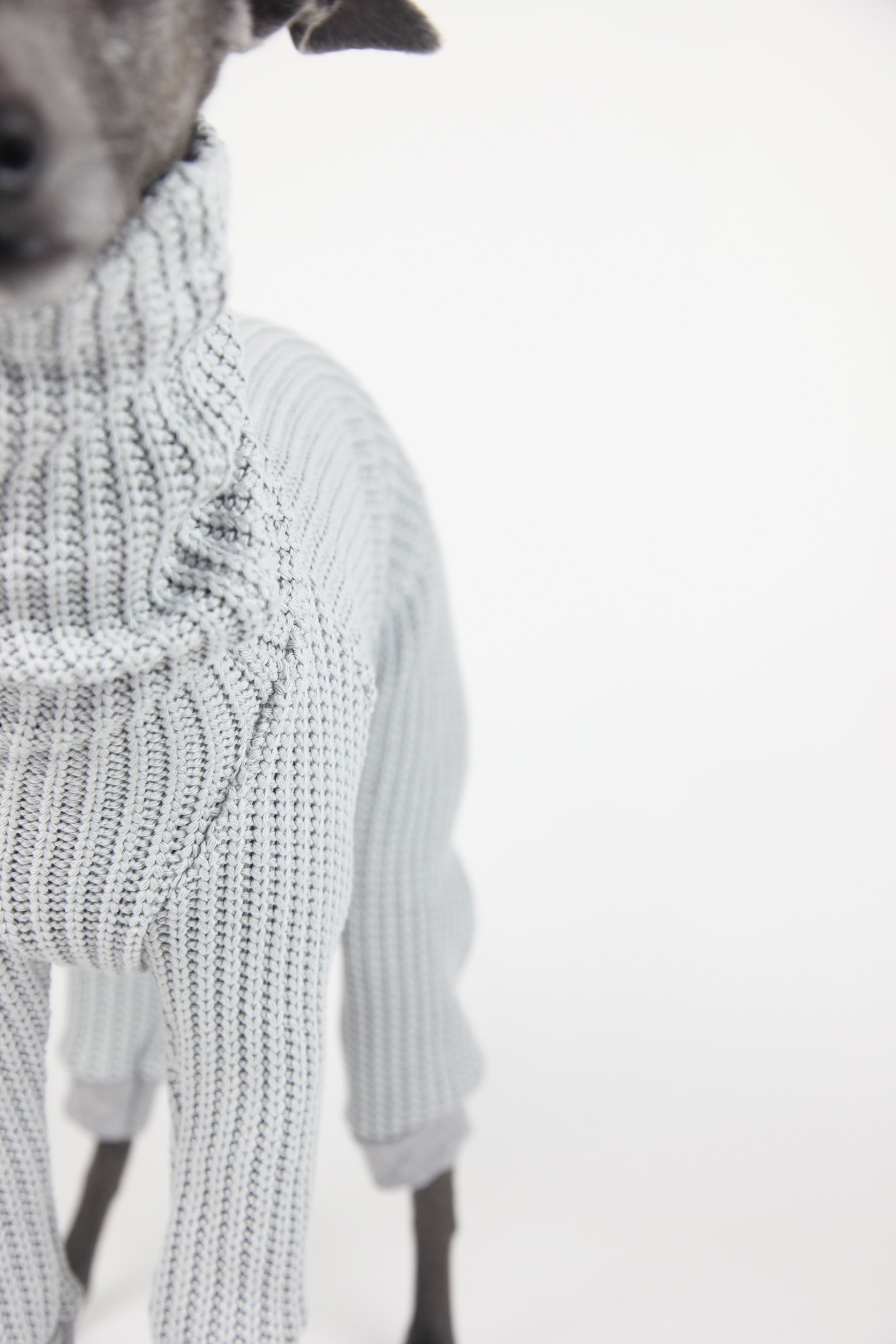 Italian Greyhound, Whippet Clothing