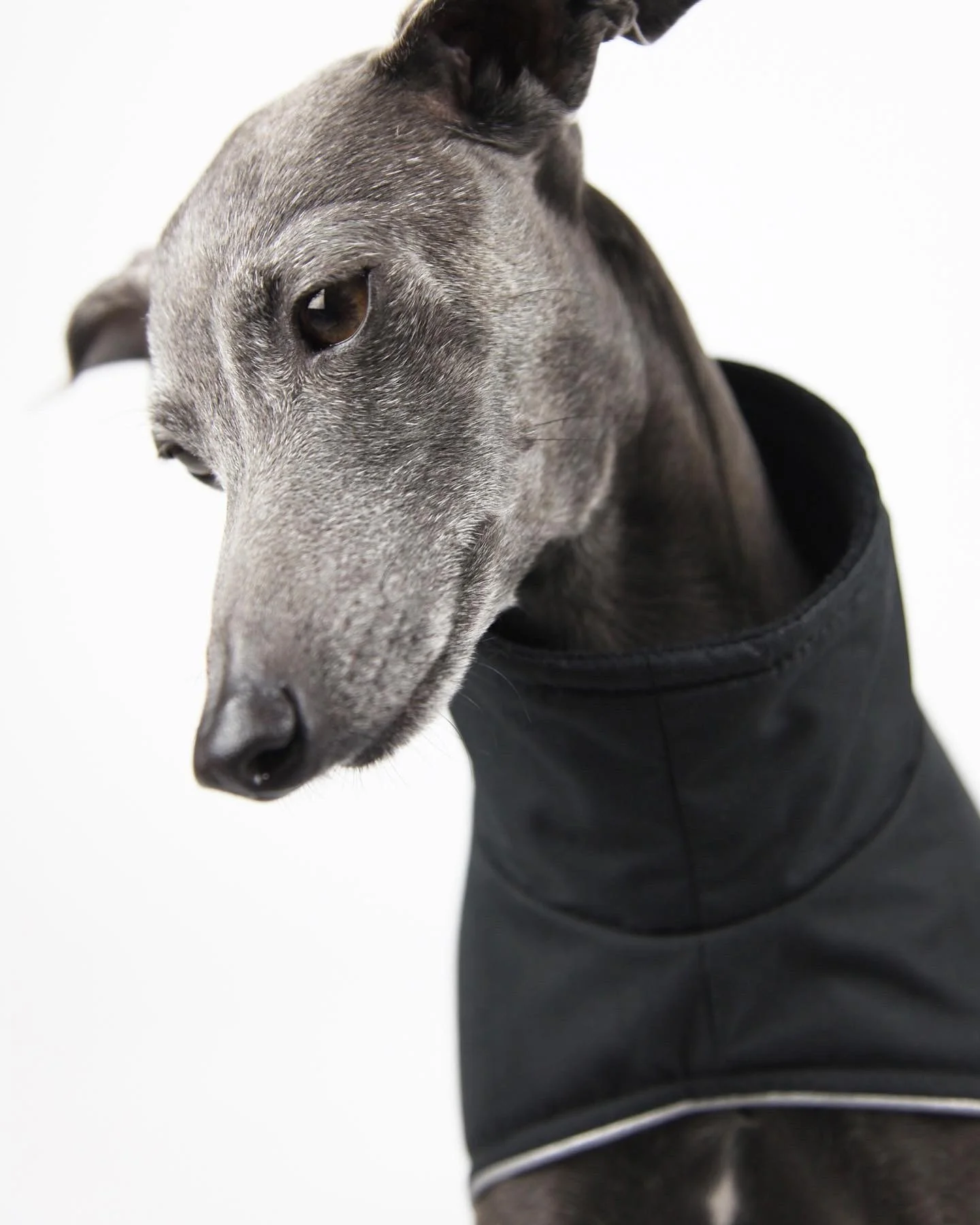 This bestseller is back in stock!