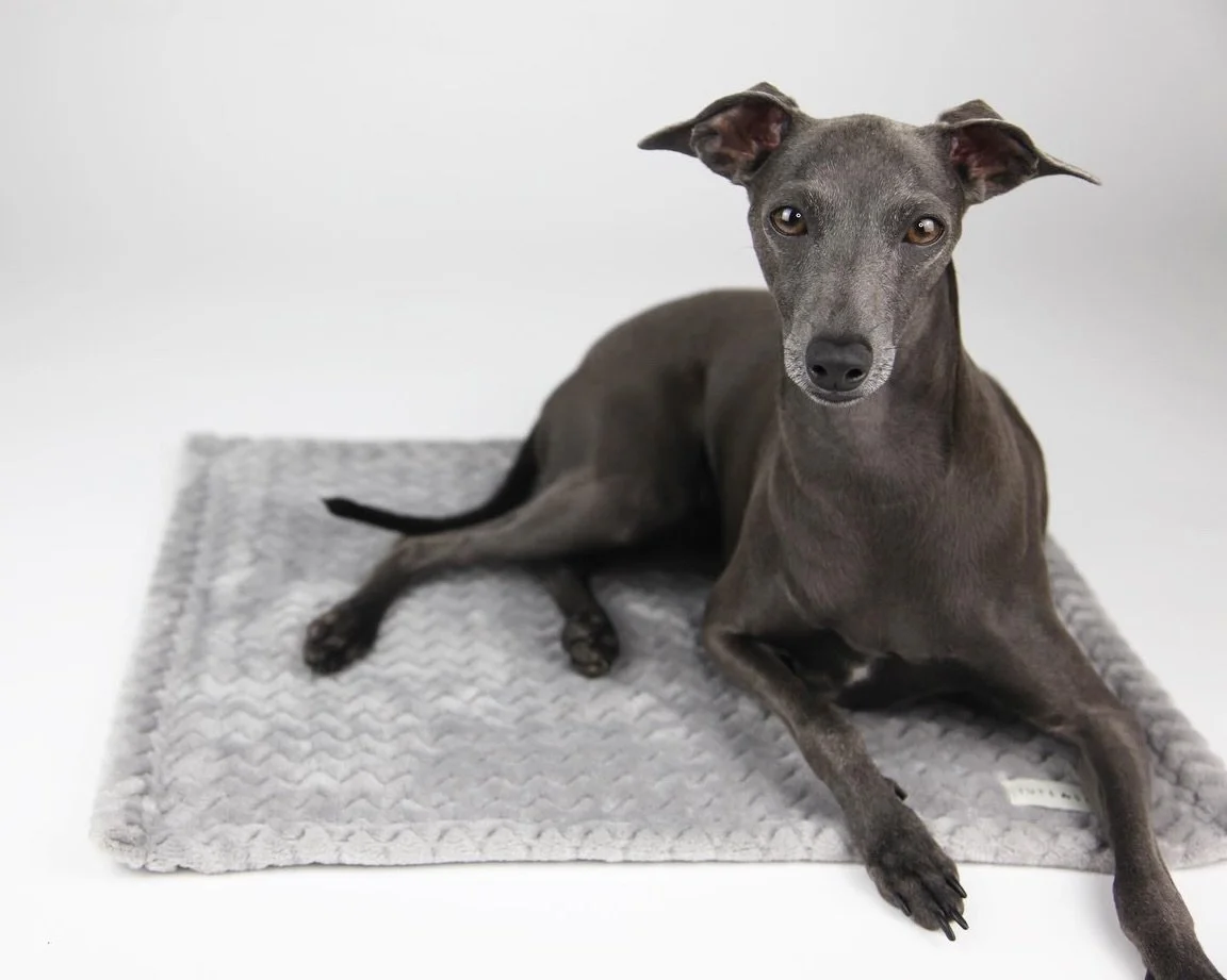 OUR GIFT TO YOU- Receive a free Comfort Mat with every order! Shop now for your cosy Christmas gift. Xx