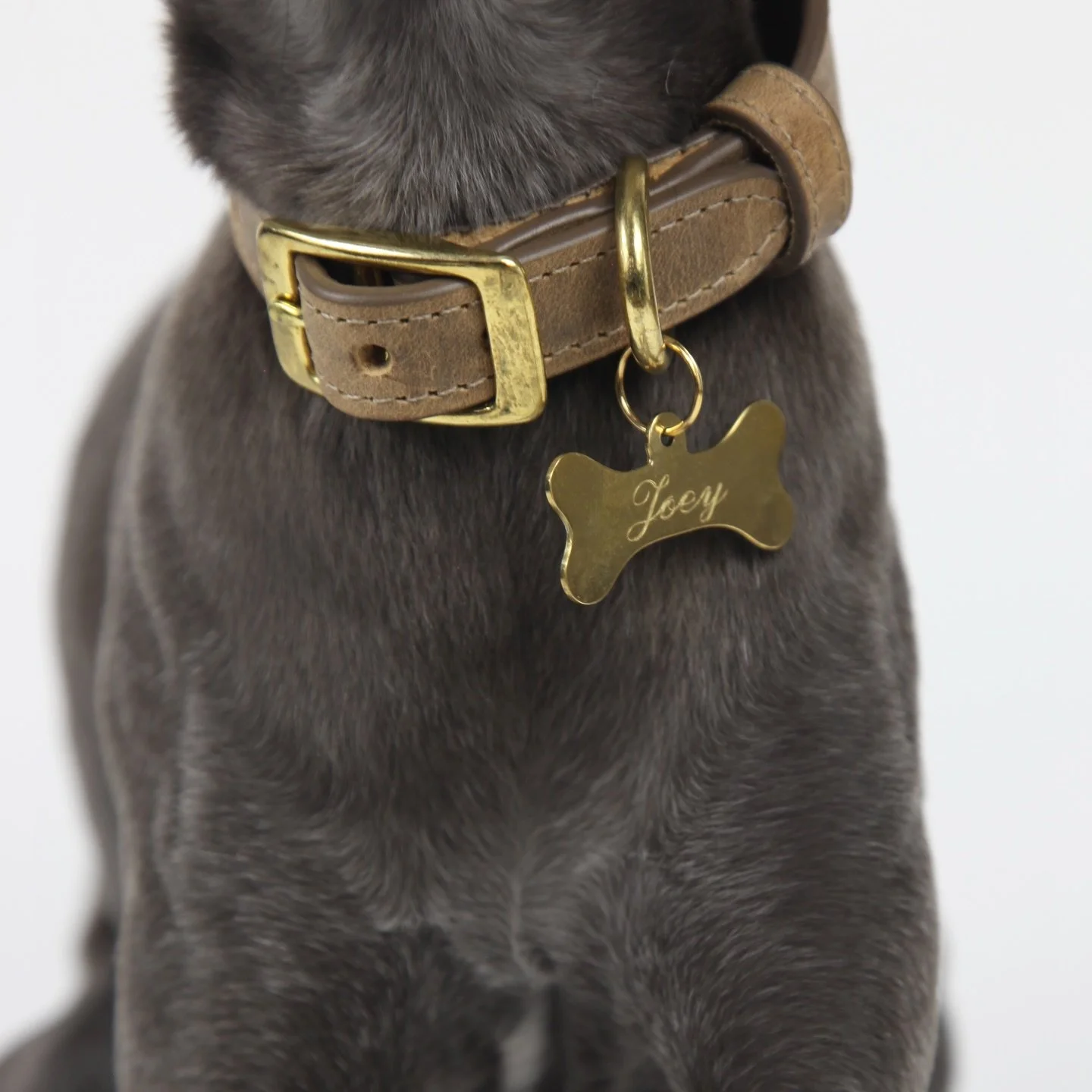 Exquisite Solid Brass ID Tag - We&rsquo;ve taken the classic bone tag and given it the royal Jute &amp; Sable treatment. Sleek elegant lines, high shine finish and quality sustainable materials.

Truly the most exquisite gift for the most precious po