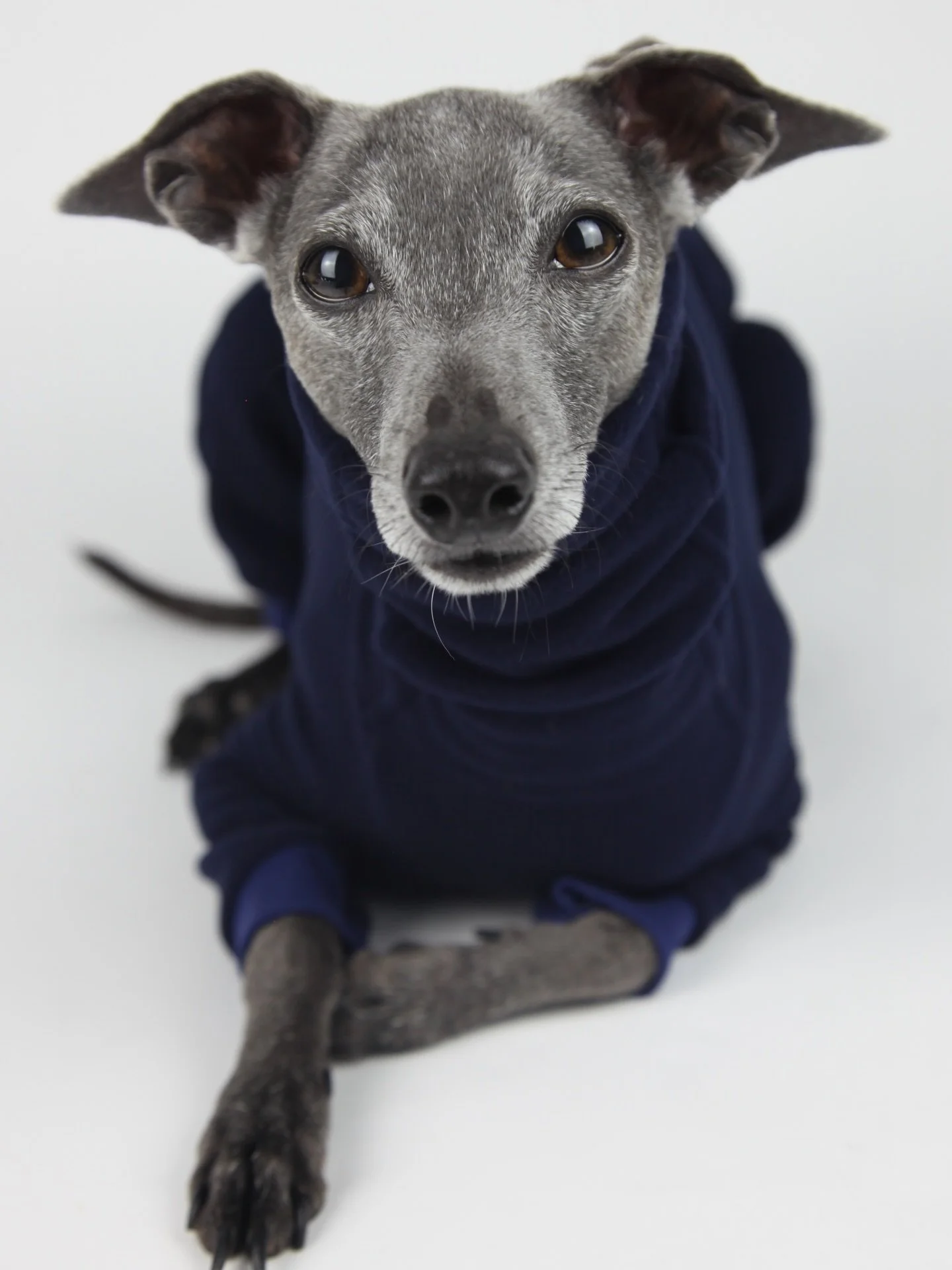 Our New Navy encompasses softer tones, still with the richness of the perfect Navy. 
We are somewhat colour fanatics so we hope you love. X