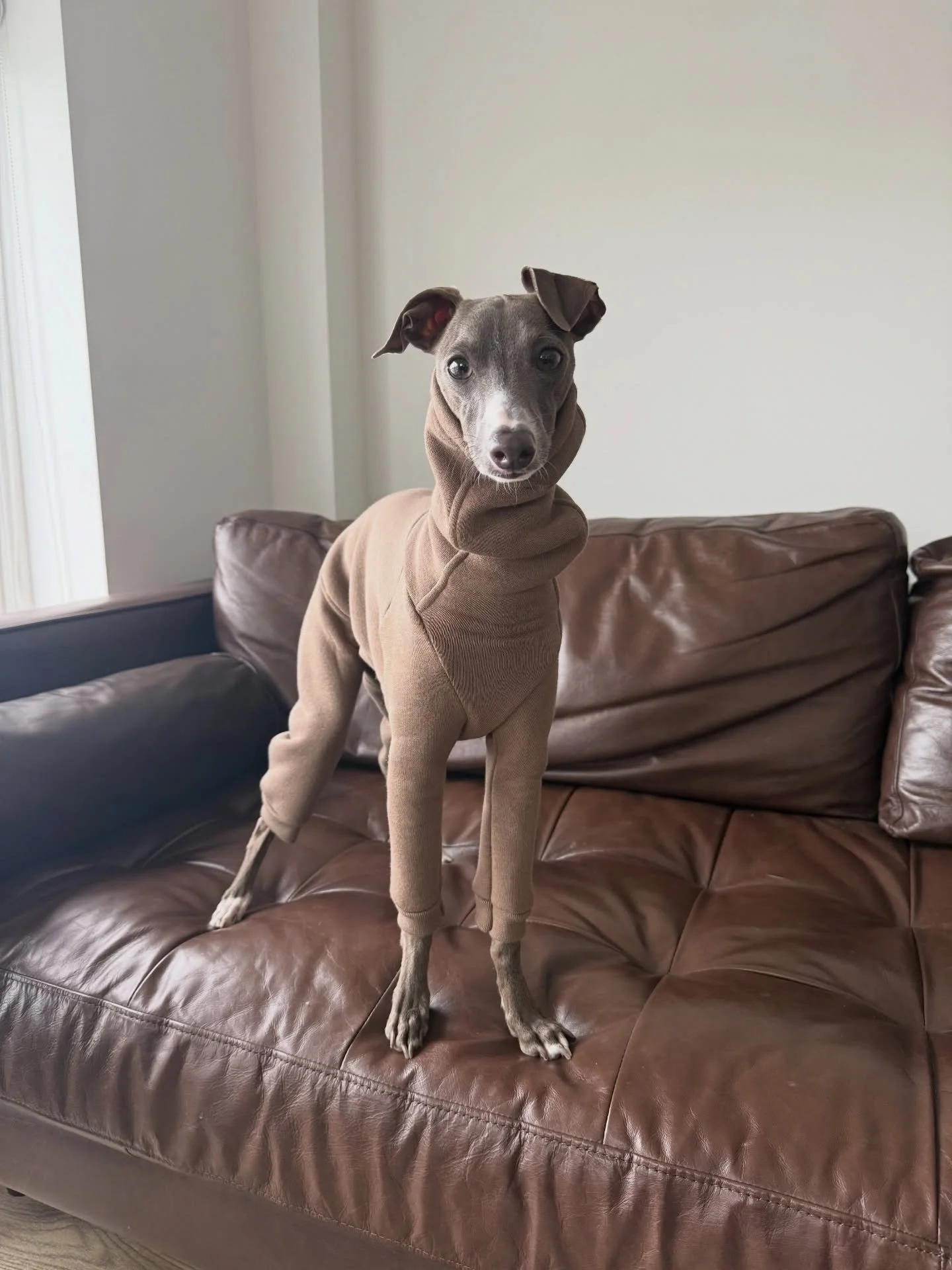 Did you know rain has fallen in the UK everyday bar one since 6 January&hellip;Well, you know what they say &ldquo;There is no bad weather, only bad clothing&rdquo; 
Our IG&rsquo;s Joey &amp; Bailey have been living in their HARLECH rompers this past