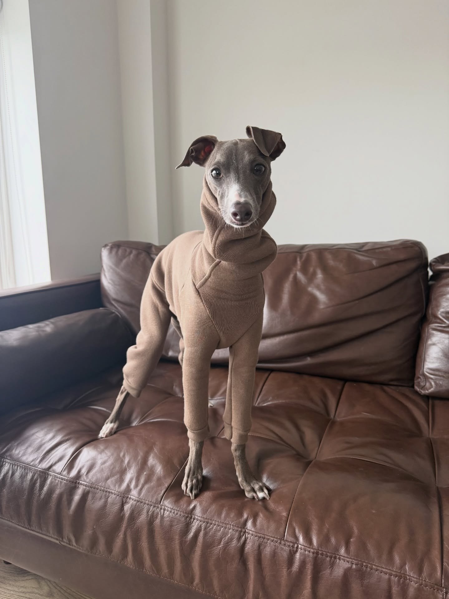 Did you know rain has fallen in the UK everyday bar one since 6 January&hellip;Well, you know what they say &ldquo;There is no bad weather, only bad clothing&rdquo; 
Our IG&rsquo;s Joey &amp; Bailey have been living in their HARLECH rompers this past