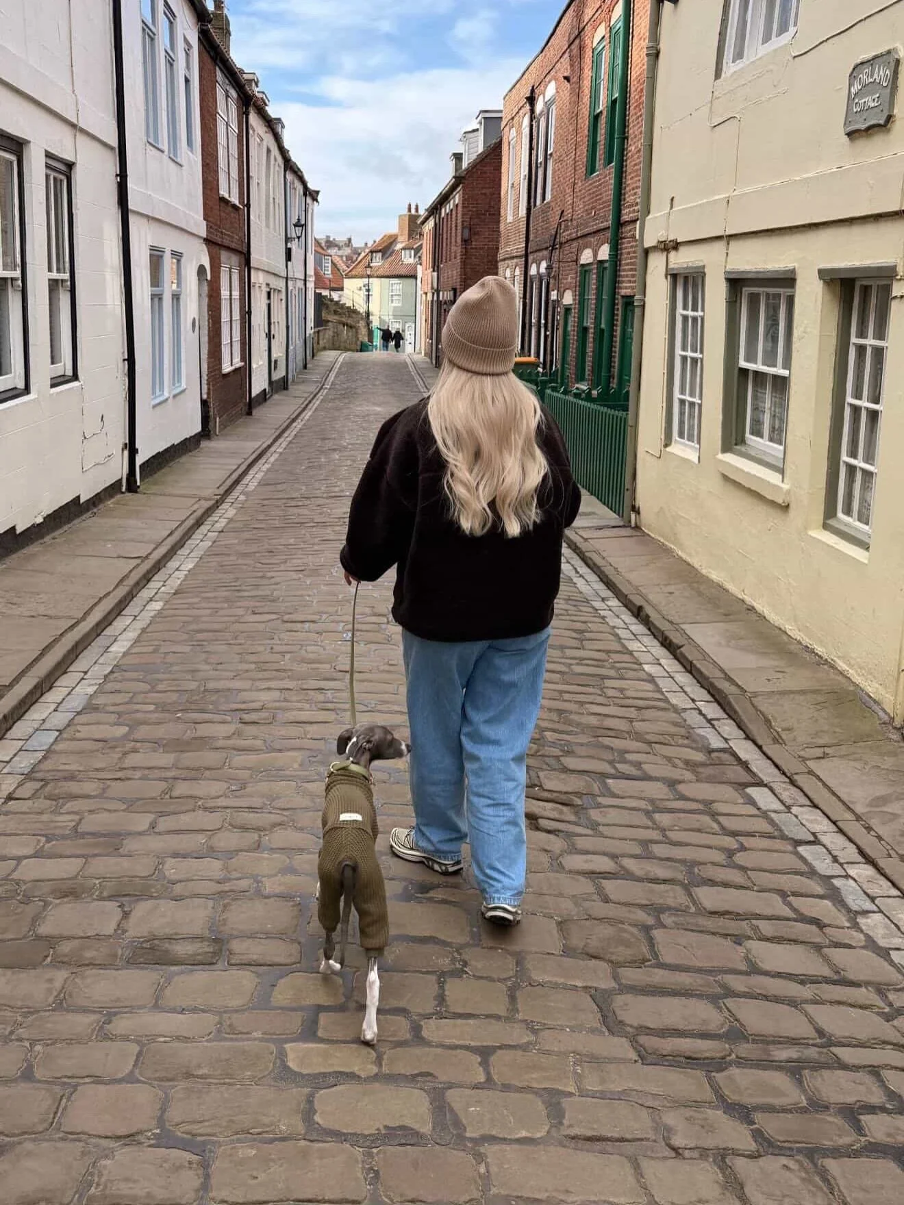 Luigi is the smartest dog in town here wearing our Shoreditch- Green Earth. 💚💚💚