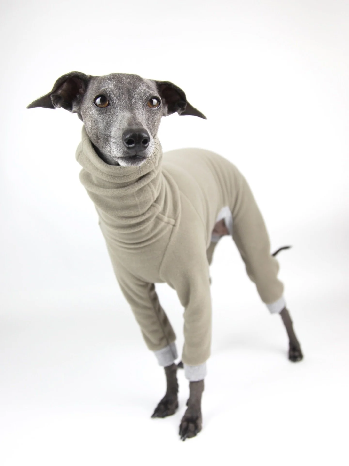 Sitting close to the body, our Essential Collection is hardwearing, comfortable and easy to wash (not to mention super stylish). Wear them on their own or under a winter coat for added warmth.

Perfect for everyday walks in the park. Add a little fla