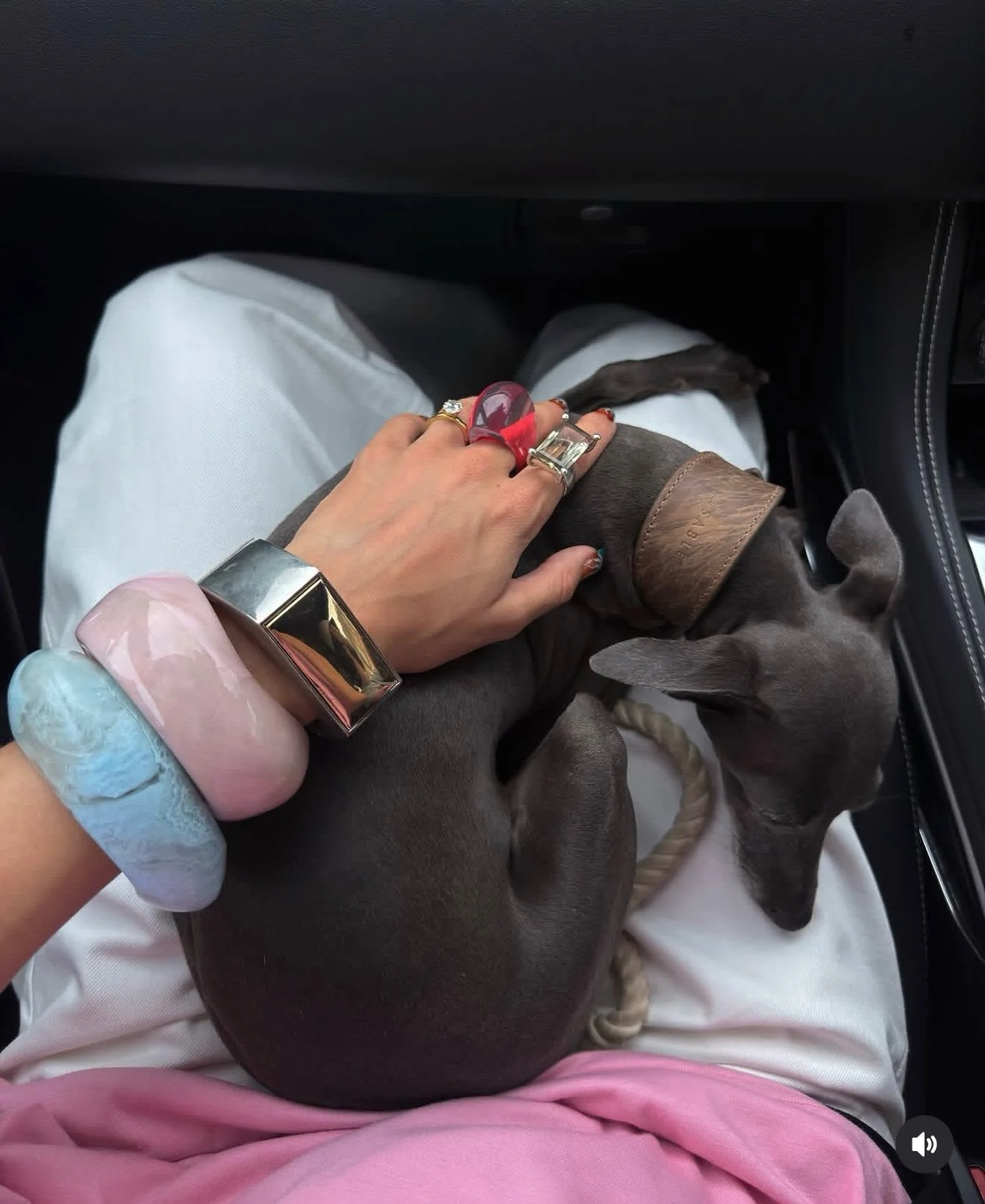 Yoshi and @bethanmccoy accessories are beyond fabulous! 

Yoshi wearing our Heritage collar and Rope lead 🧡🧡