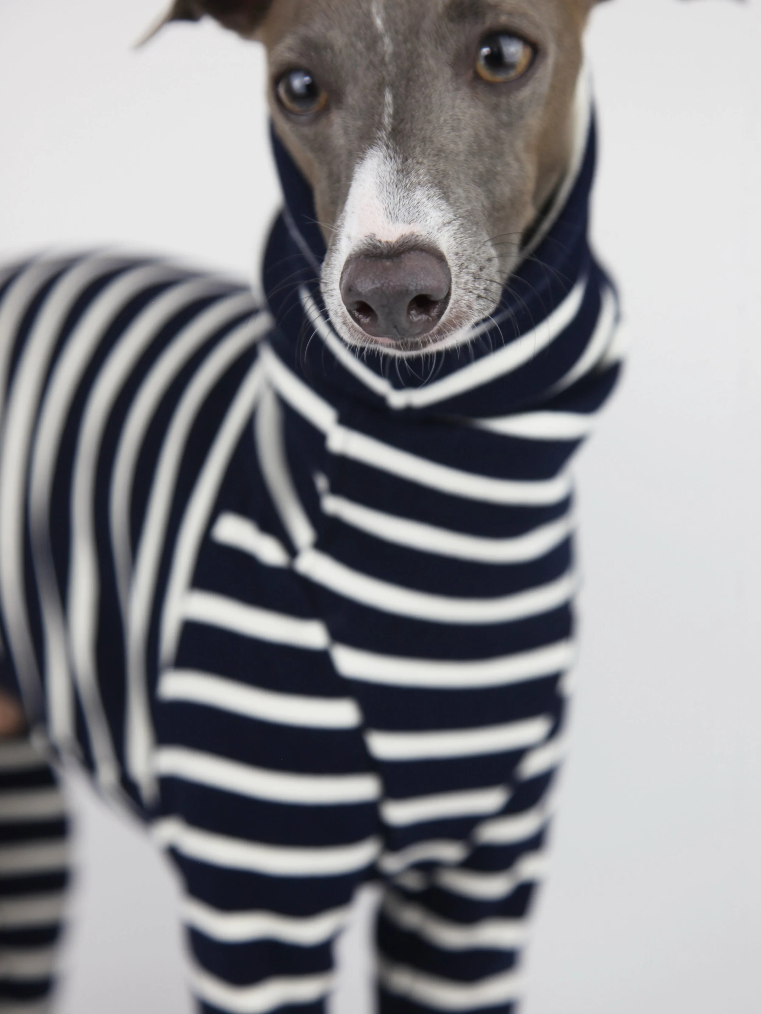 Earn your stripes.
