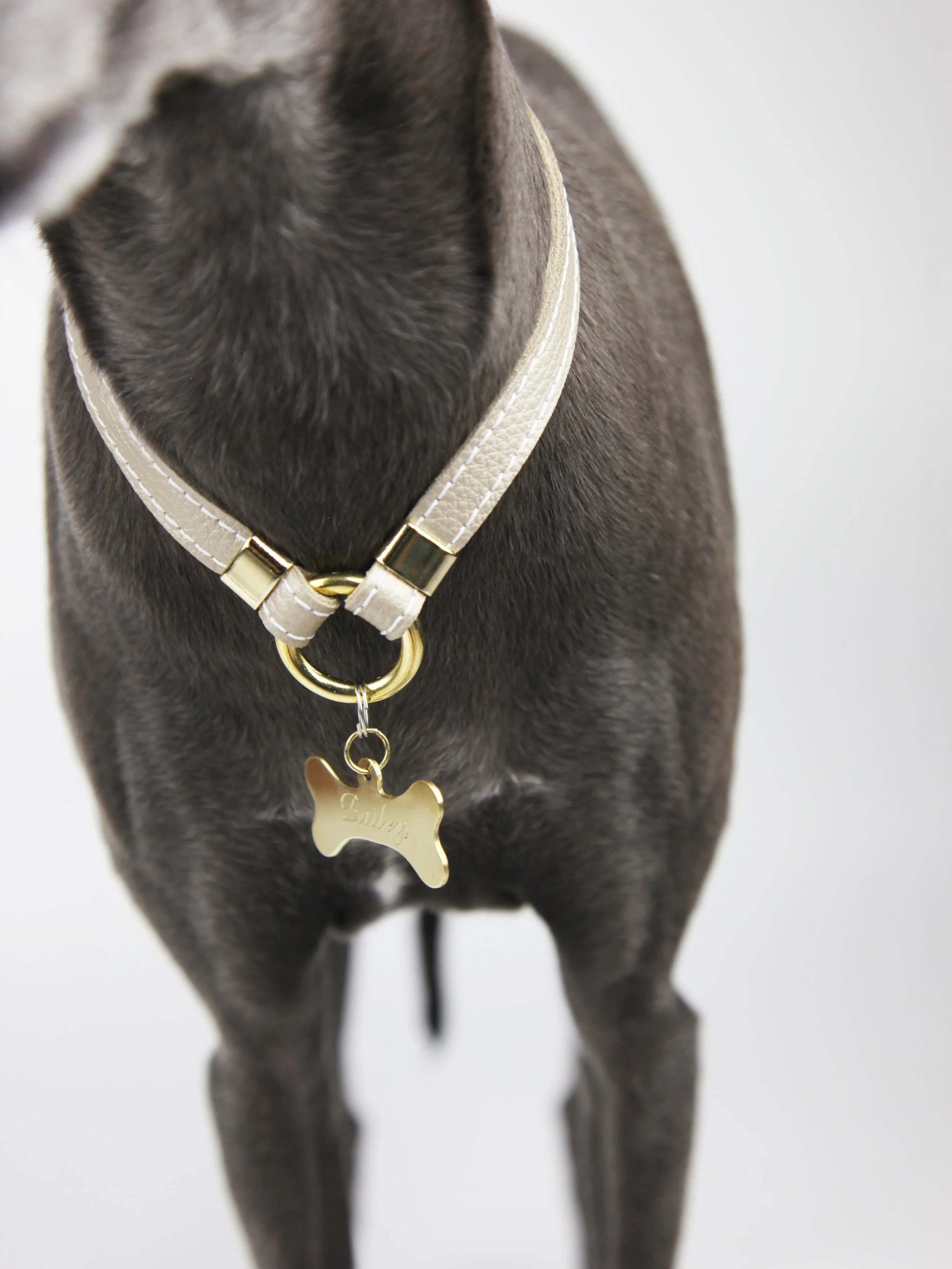A LITTLE GOOD NEWS&hellip; 🧡 The wait is over. Your favourite house collars are BACK IN STOCK