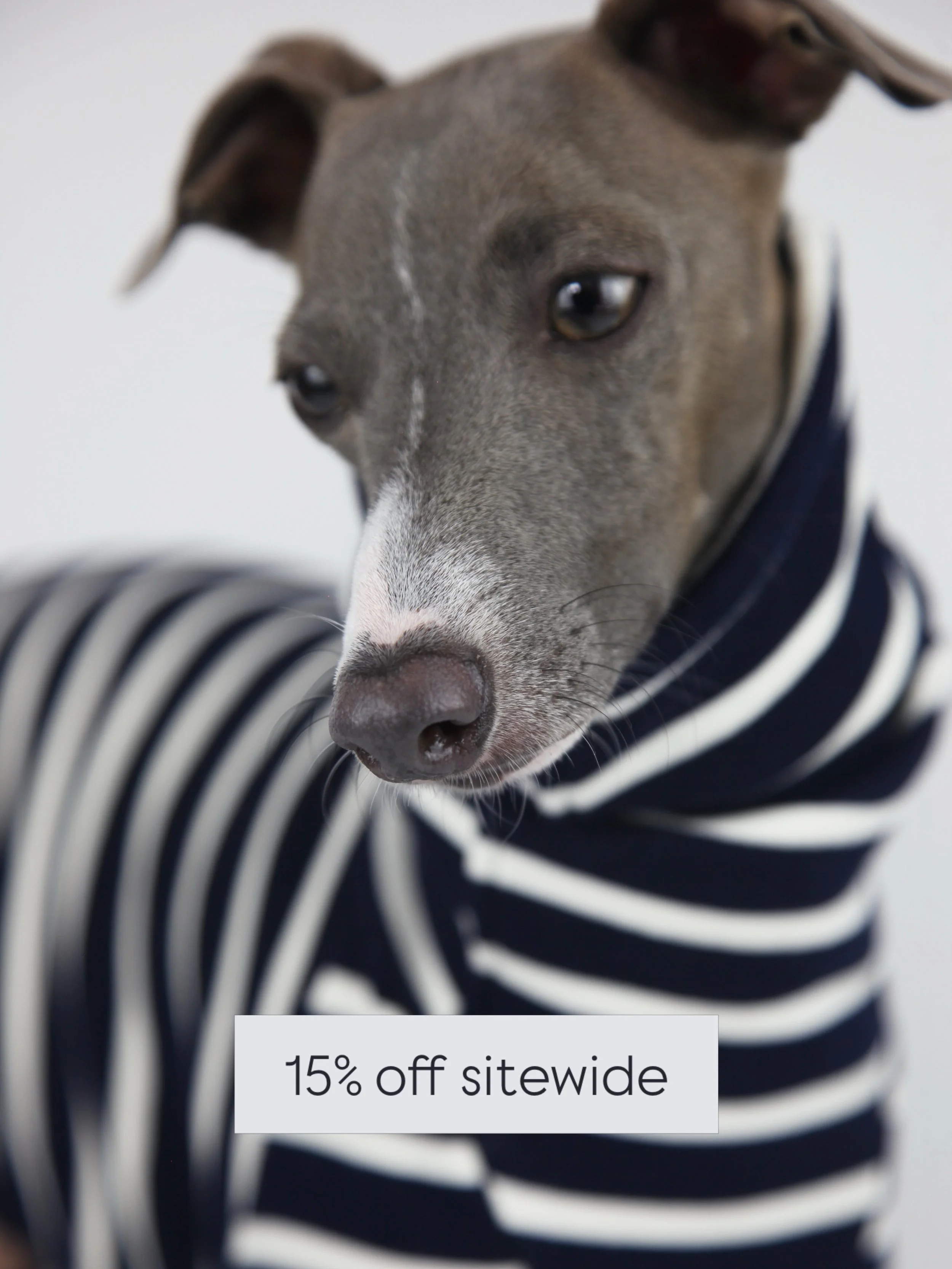 A little more Jute &amp; Sable in your inbox. Subscribe now for exclusive discounts, collection updates and the latest posts from our Journal.

Sign up at juteandsable.co.uk
