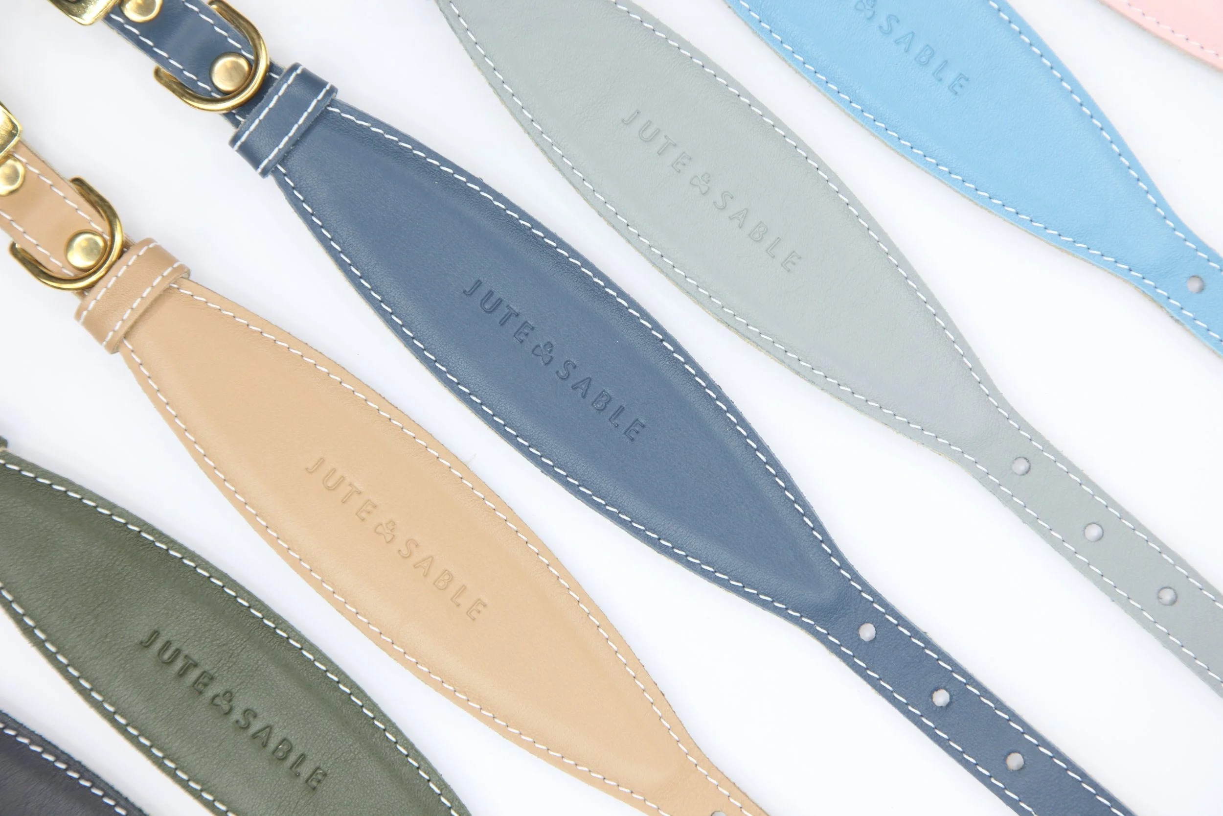 Collars & Leads