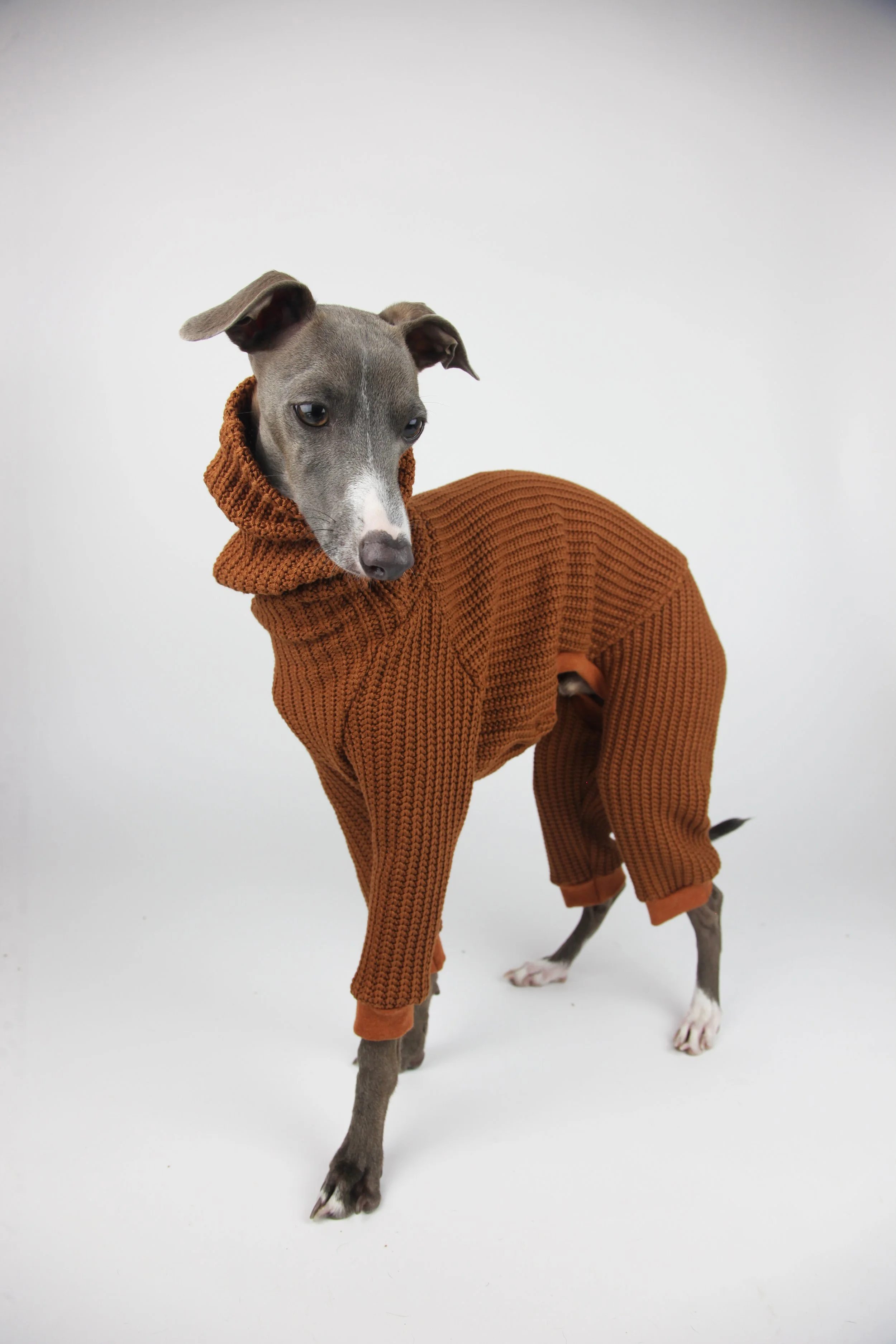 Italian Greyhound clothing romper onesie iggy clothes sighthound