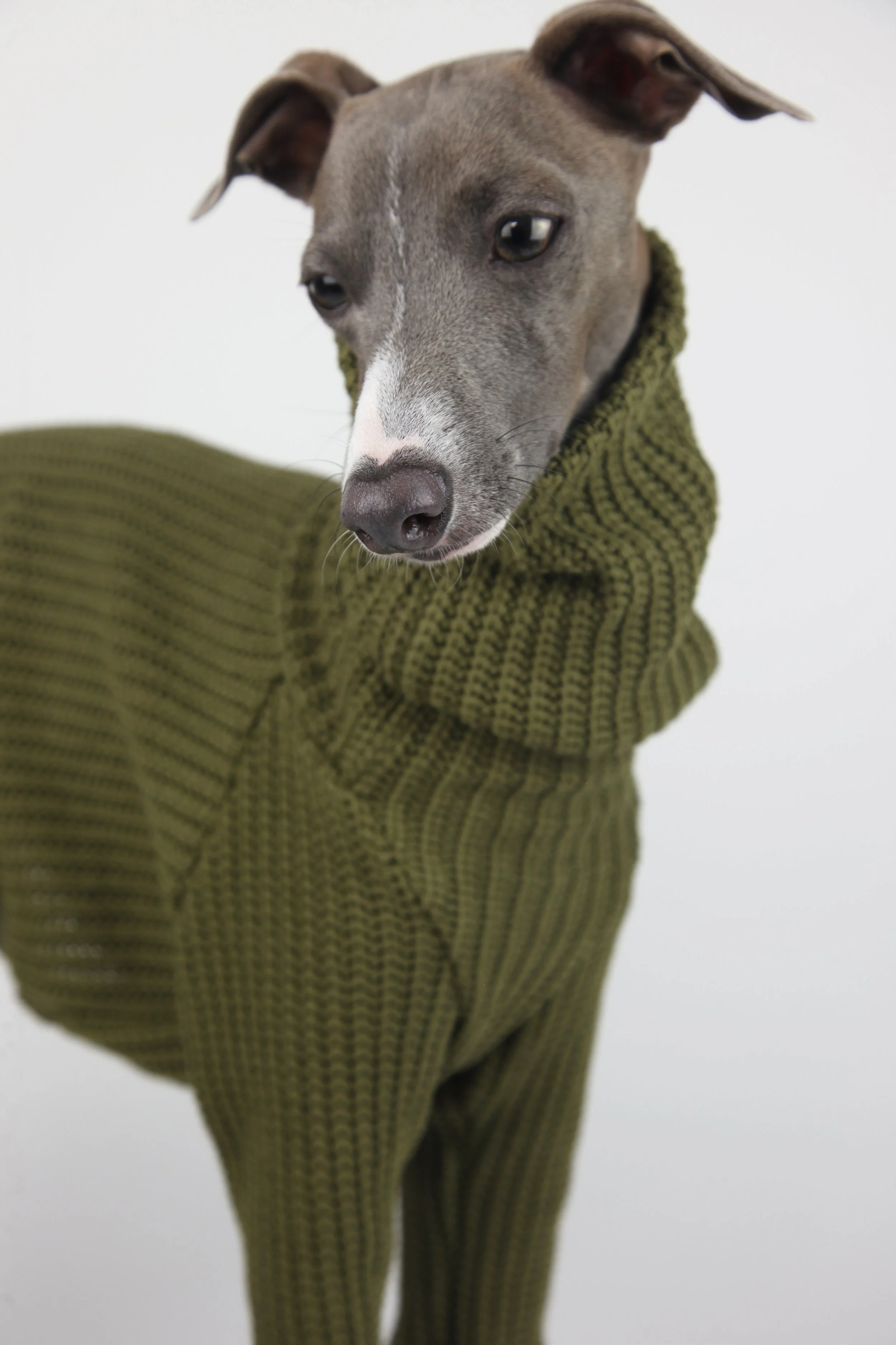 Italian Greyhound clothing romper onesie iggy clothes sighthound