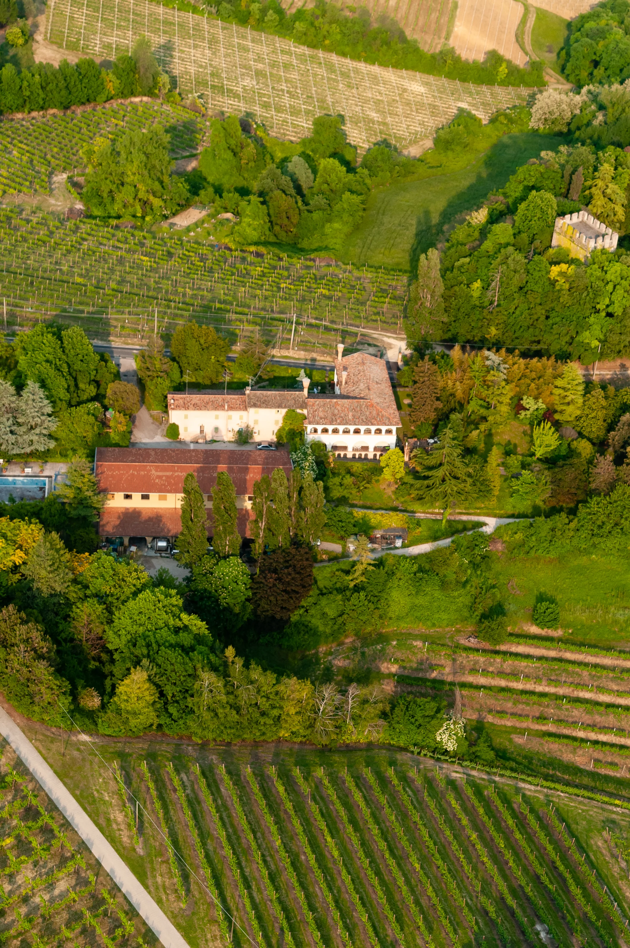 View of the Tenuta di Collalbrigo cellar and its surrounding vineyards.