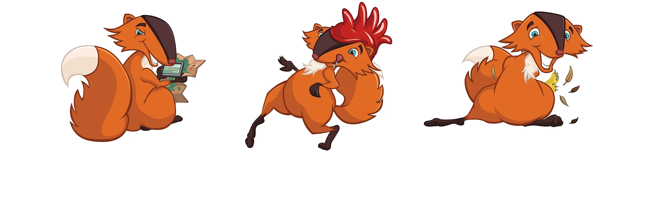 02-Fox.jpg