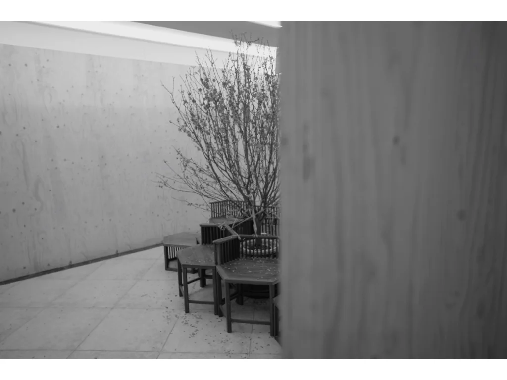 STDIO_RENOVATION .008.jpeg