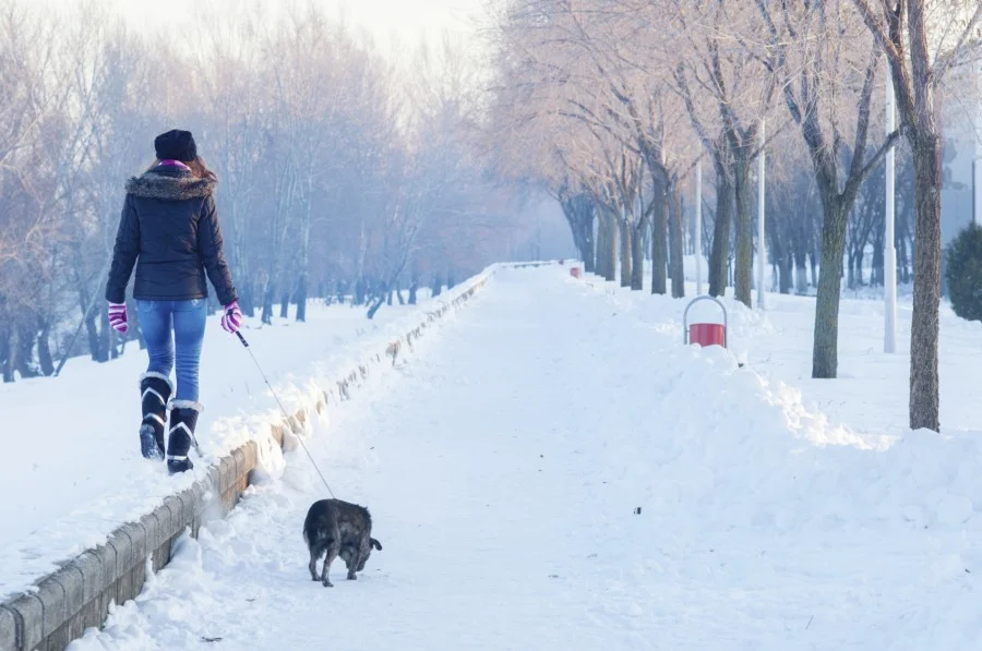 5 Winter Walking Tips
