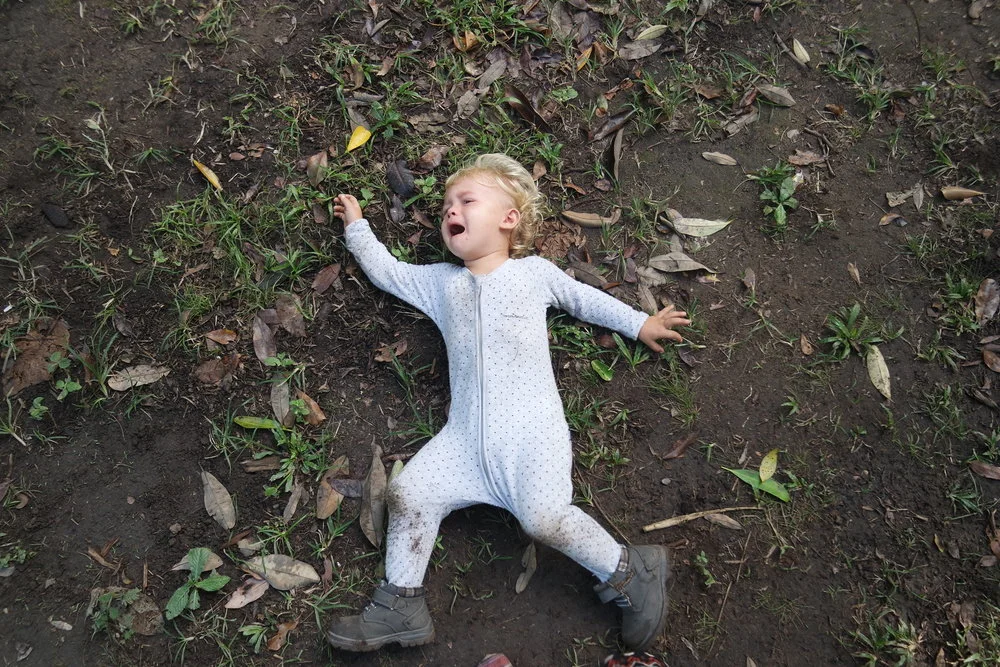 How To Have an Enjoyable Hike with the Kids