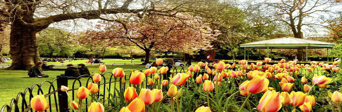 ireland-spring-1.jpg