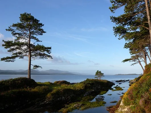 kerry-way-walk.jpg