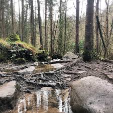 The Best Winter Walks In Ireland