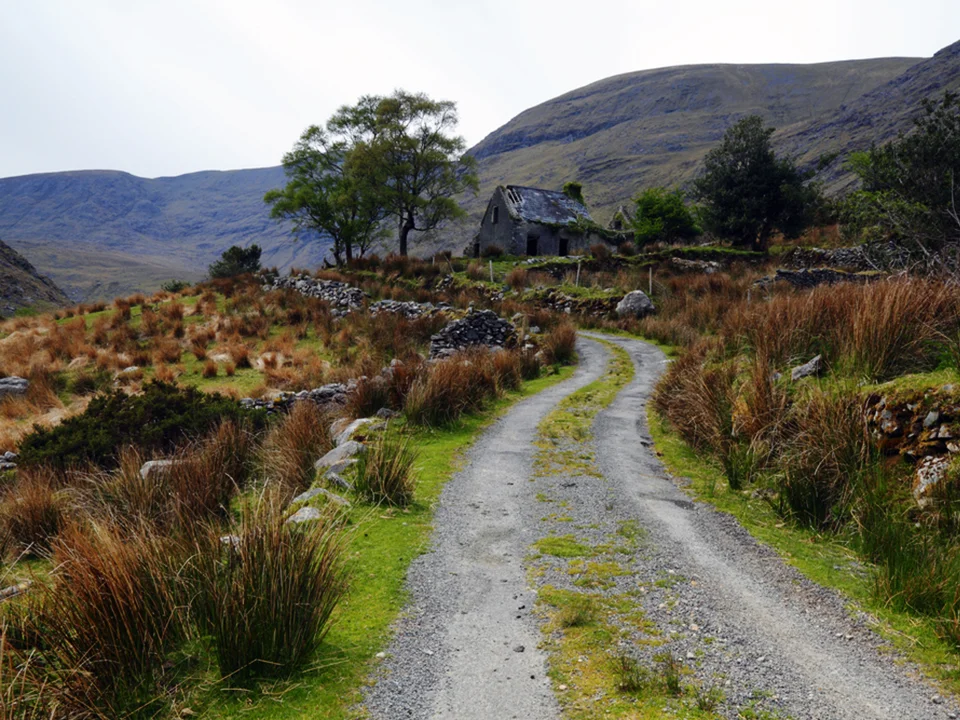 Irish scenery.jpg