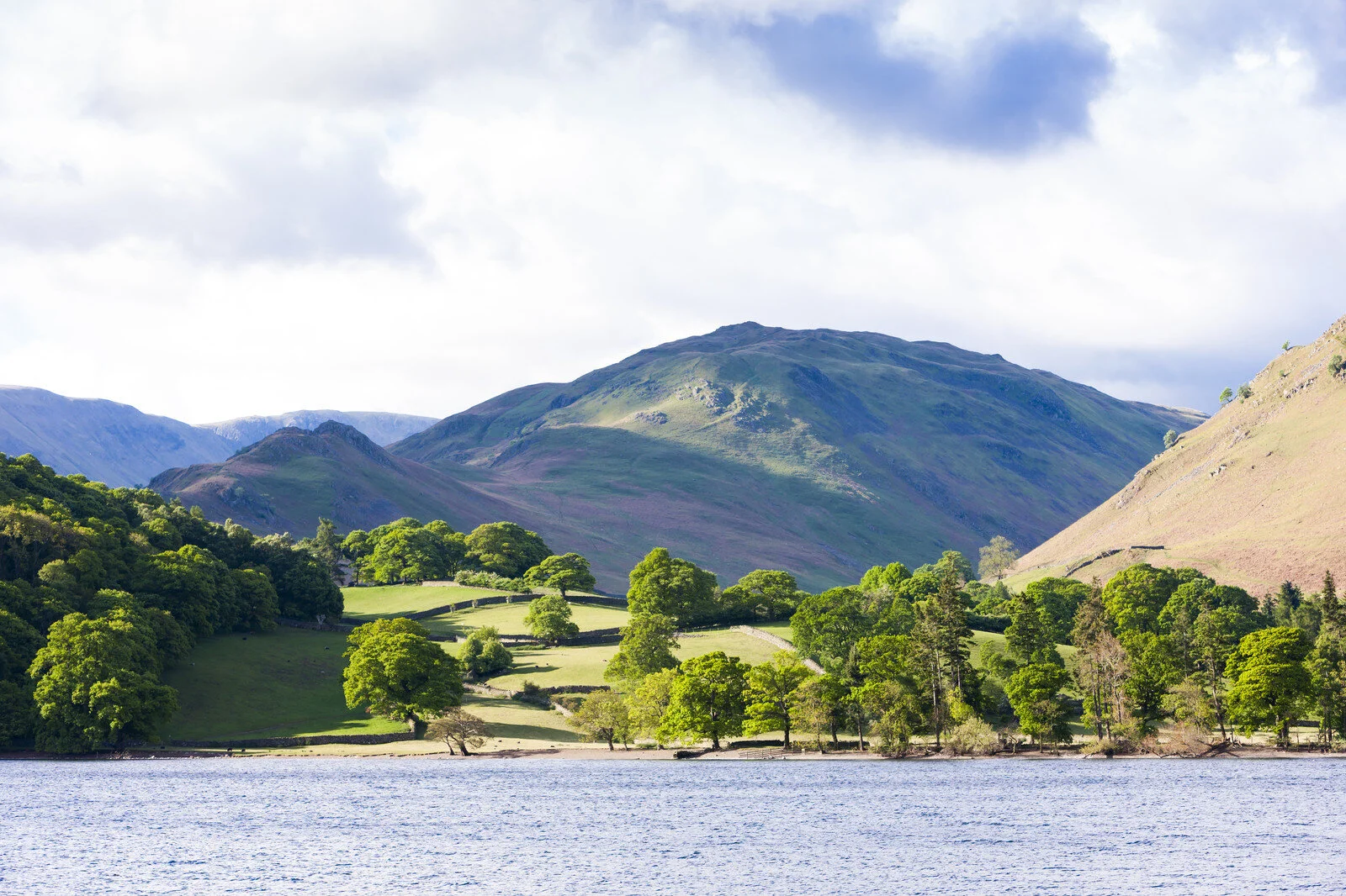 canstockphoto16551463.jpg