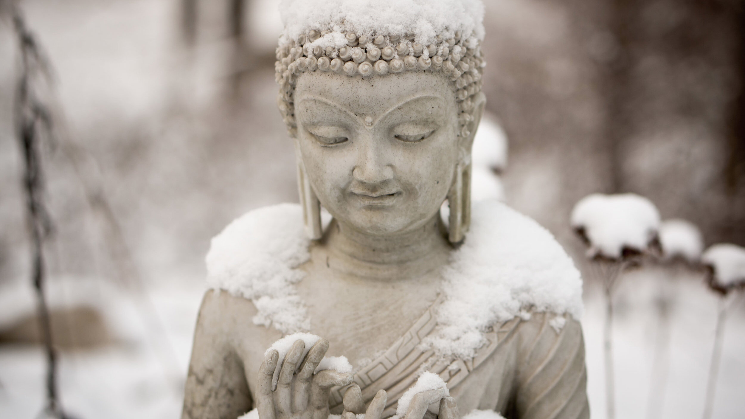 "When All About You Are Losing Their Heads..."