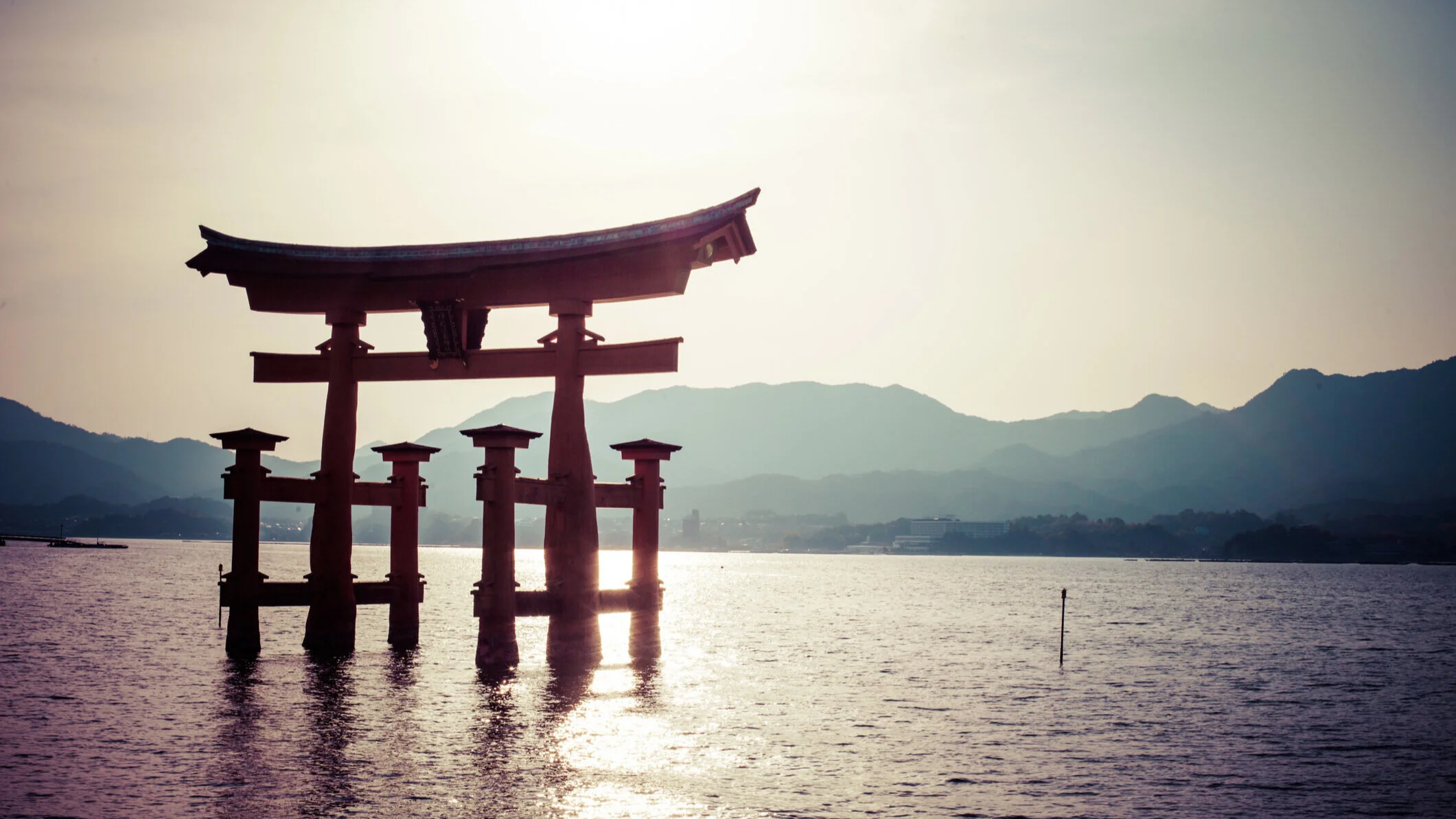 A Warrior Spirit To Survive And Thrive. 