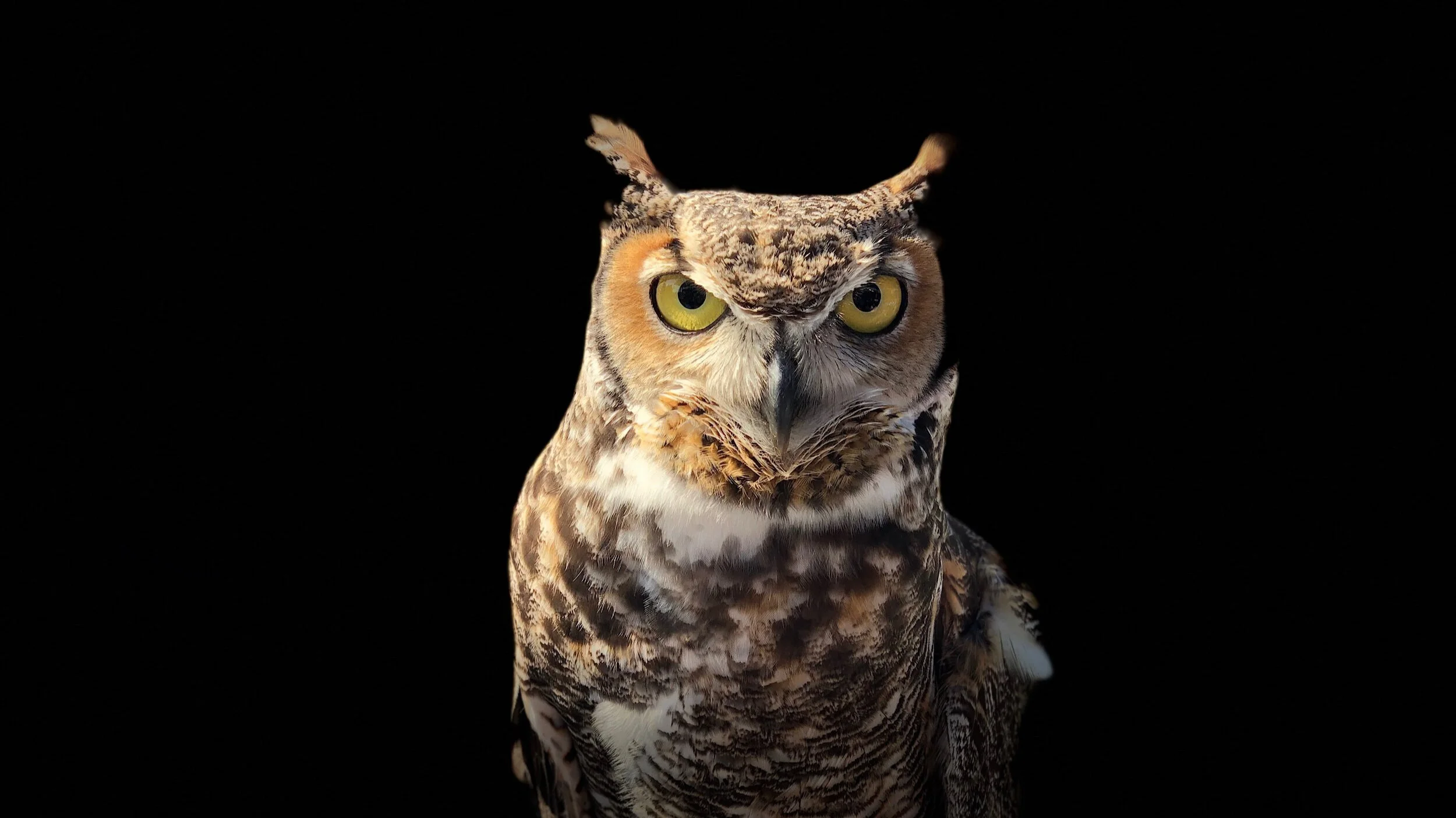 You Need To Think Laterally. 