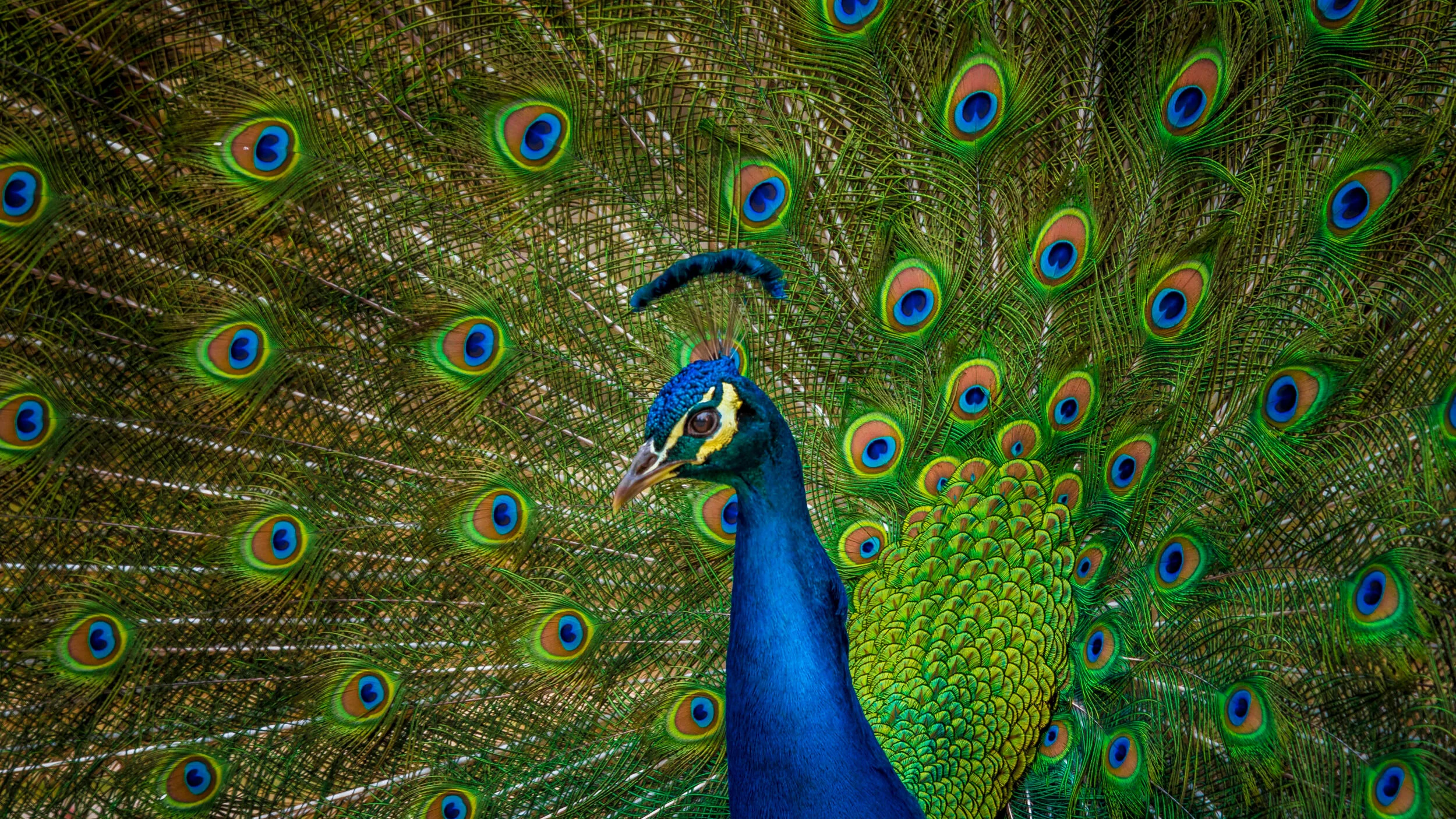 How Interesting Are You?