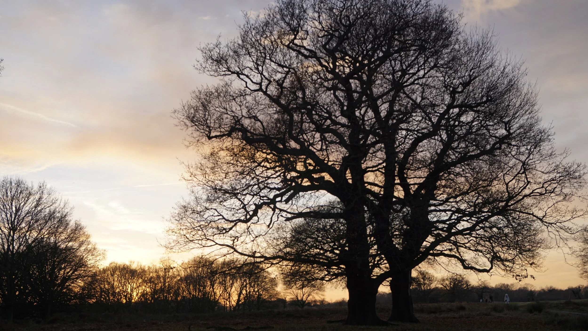 These Two Truths Are All You Need To Know.