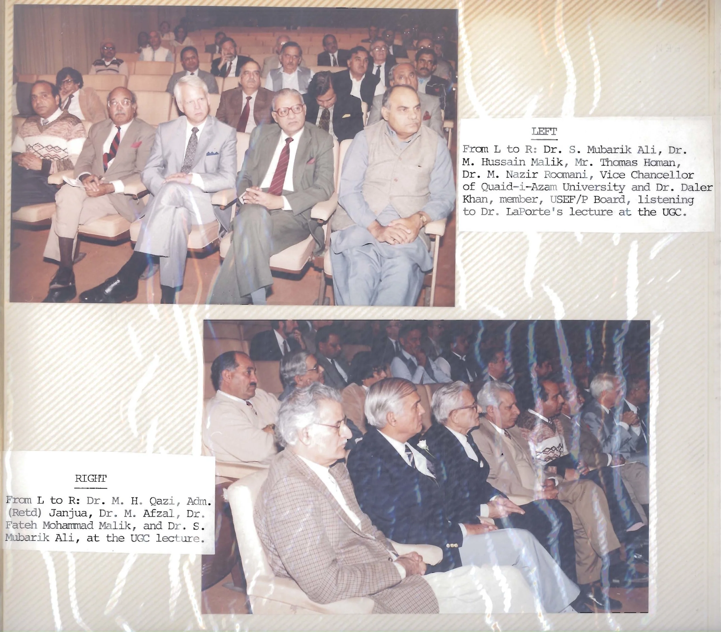 P10.jpg