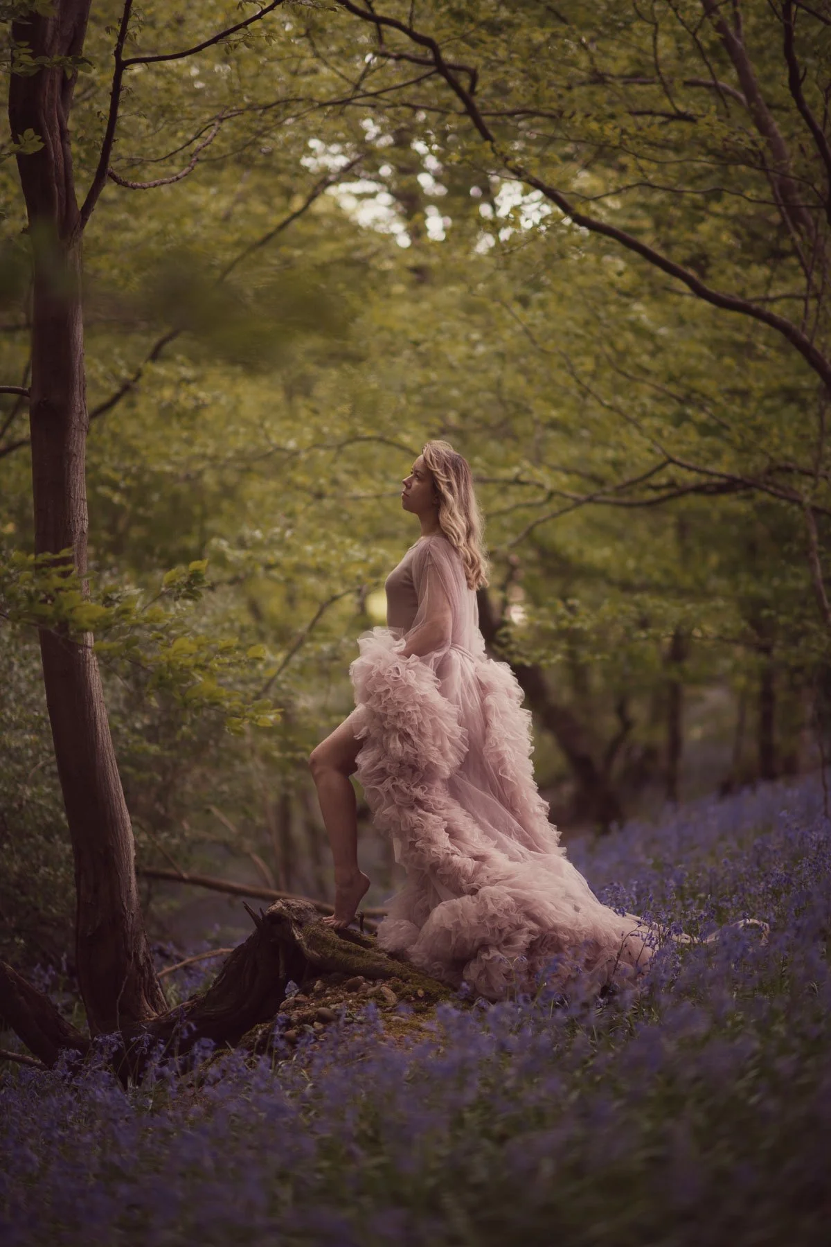 bluebell bishops stortford.jpg