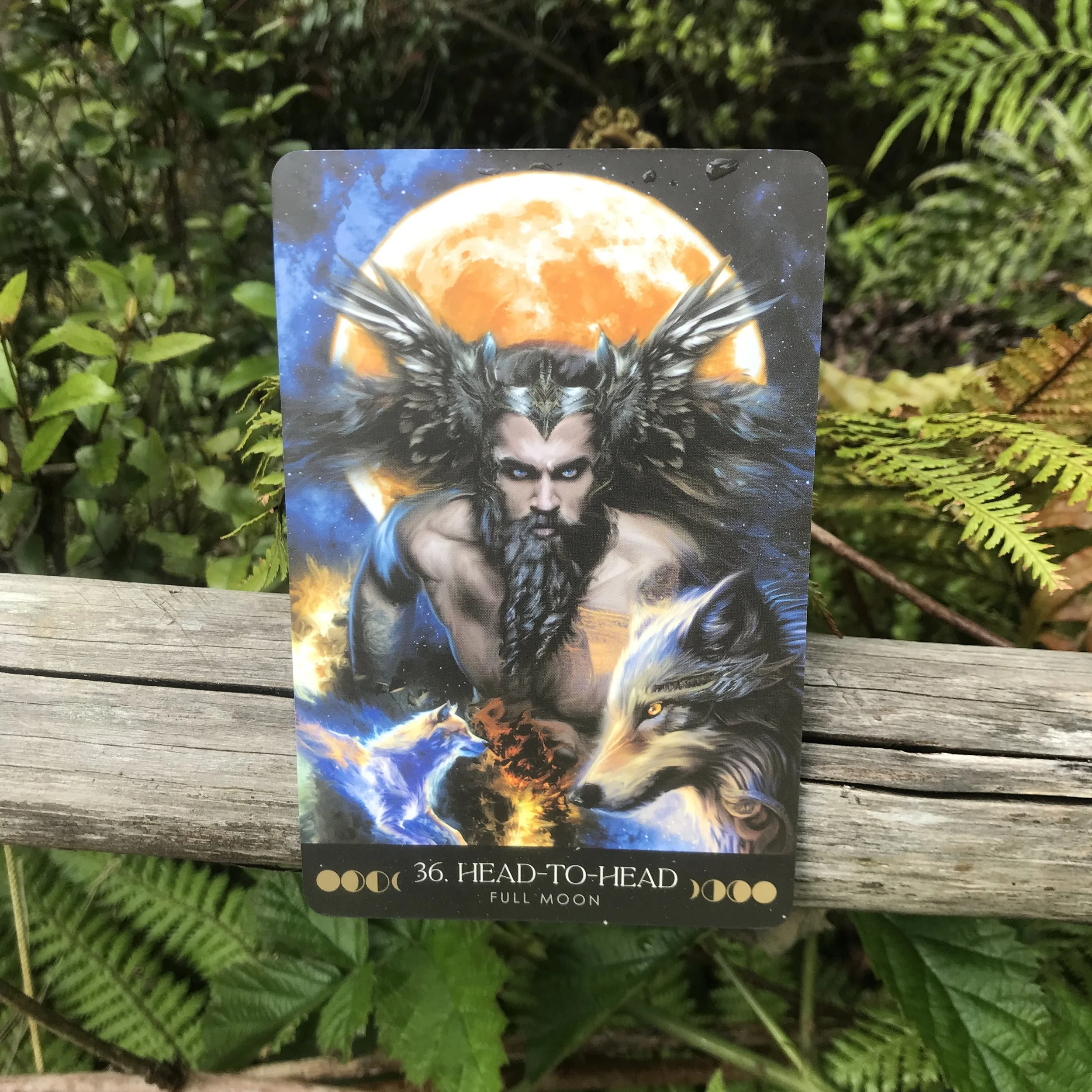  The Howl of the Wolf Moon