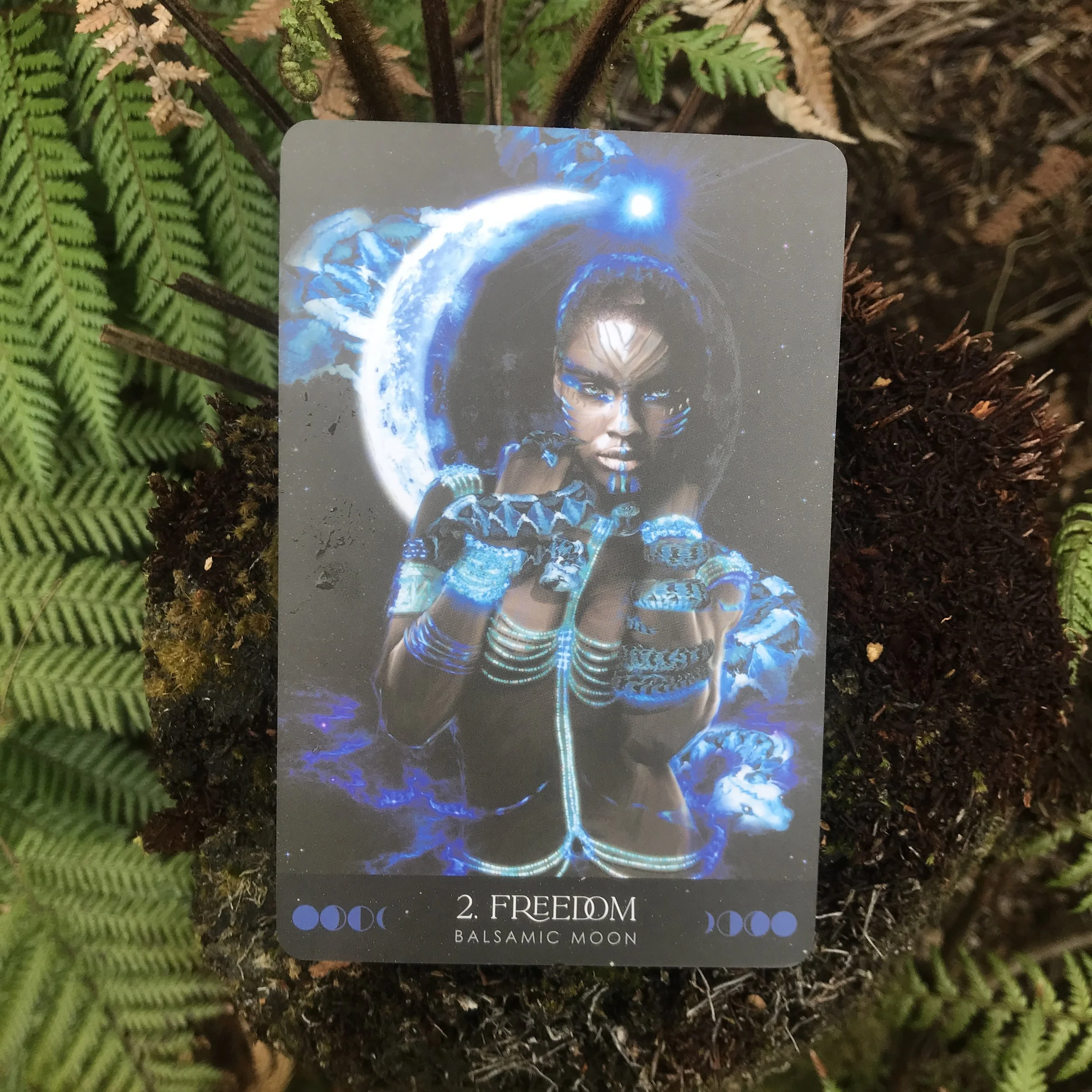  From Snake to Horse: Shedding the Old, Riding the New 