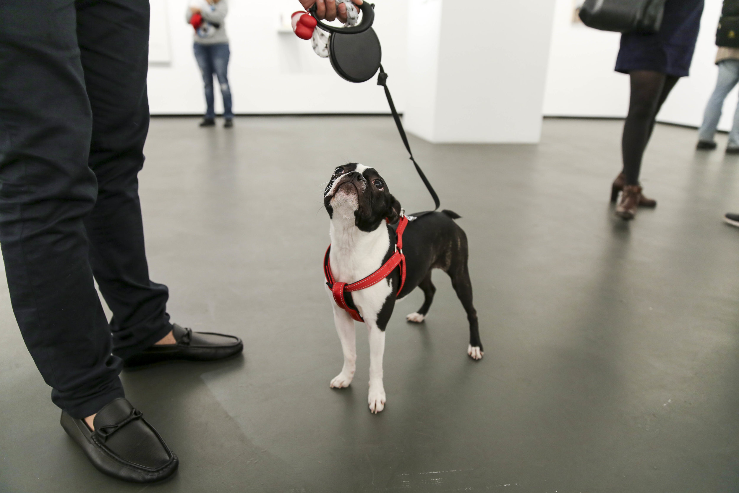 Visitors at the exhibition launch, Every Dog Will Have its Day, 2017, Casula Powerhouse Arts Centre, Sydney. Photo: Andrea Todic