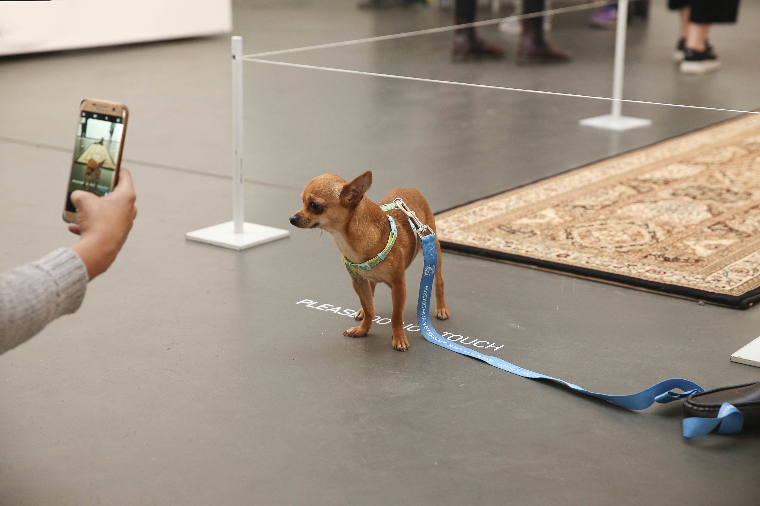  Visitors at the exhibition launch,  Every Dog Will Have its Day,  2017, Casula Powerhouse Arts Centre, Sydney. Photo: Andrea Todic 