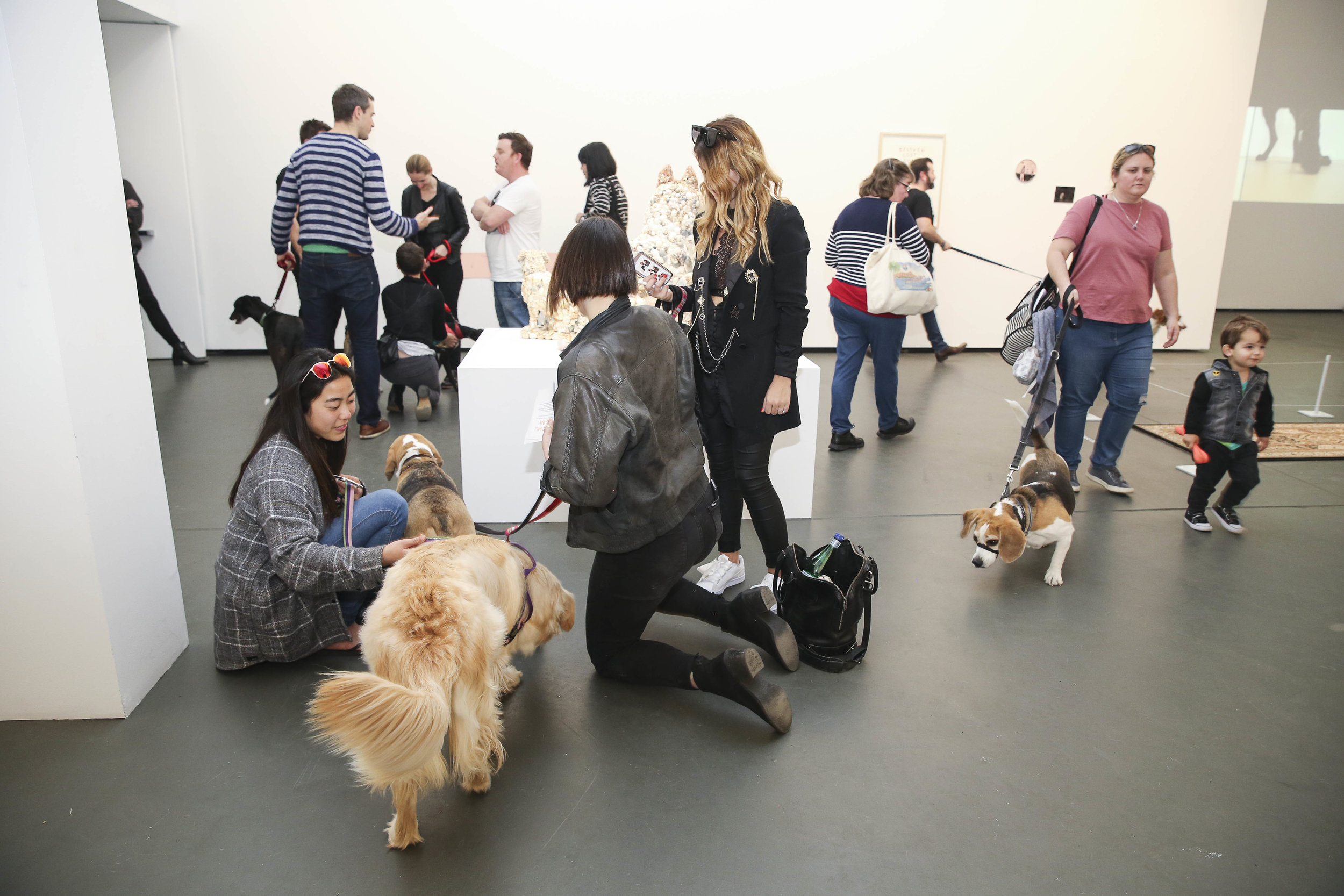 Visitors at the exhibition launch, Every Dog Will Have its Day, 2017, Casula Powerhouse Arts Centre, Sydney. Photo: Andrea Todic
